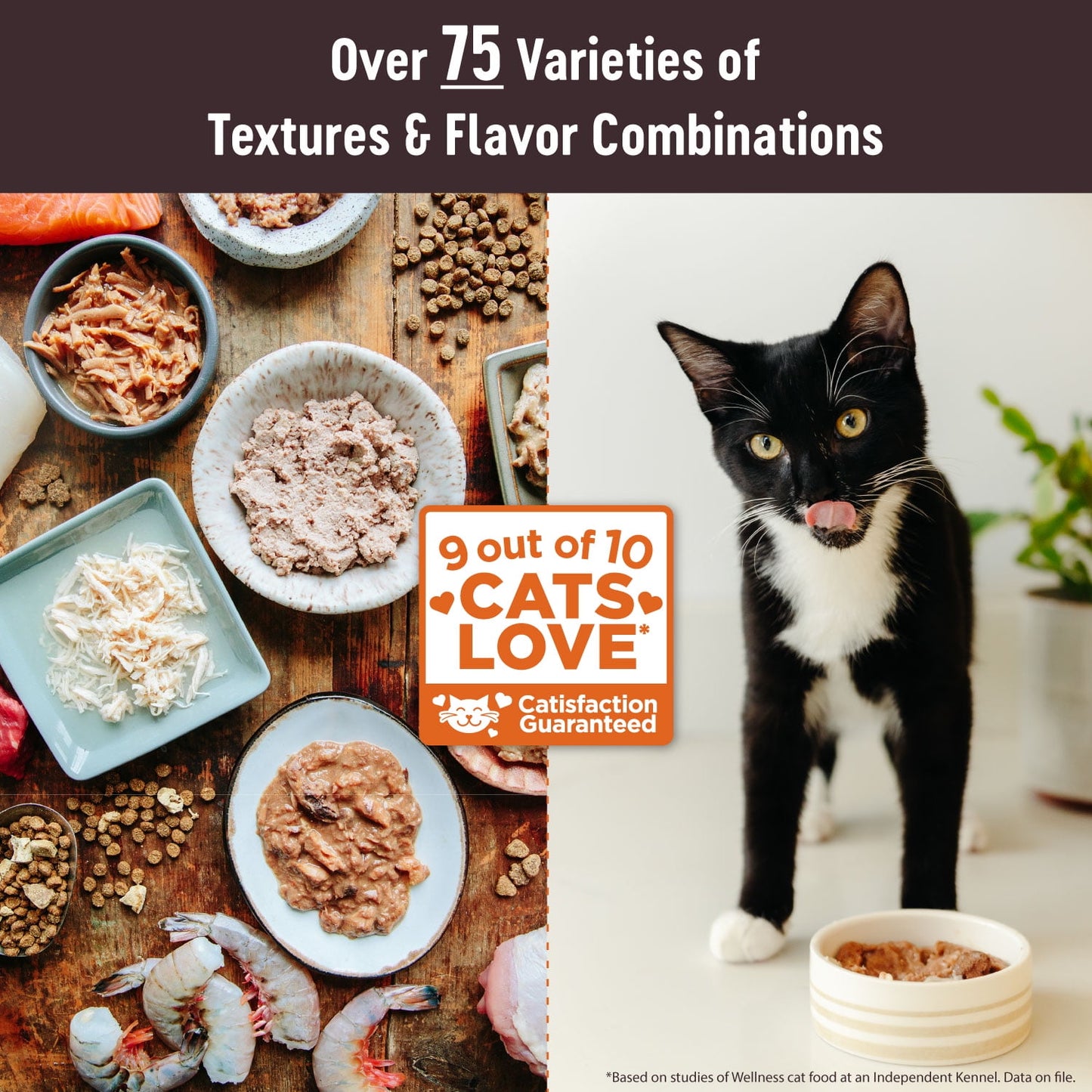 Wellness CORE Tiny Tasters Pate Adult Wet Cat Food, Natural, Protein-Rich, Grain Free, 1.75-Ounce Pouch, 12 Pack, (Land Variety Pack)