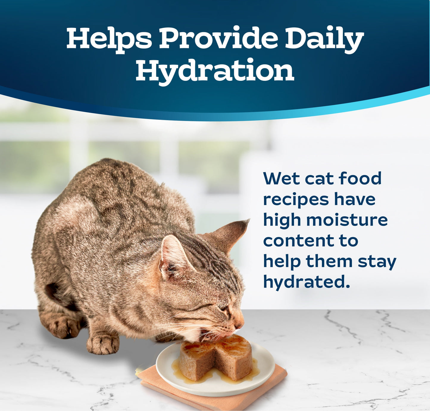 (24 pack) Blue Buffalo Tastefuls Wet Cat Food Paté Chicken and Turkey Entrée 5.5-oz.