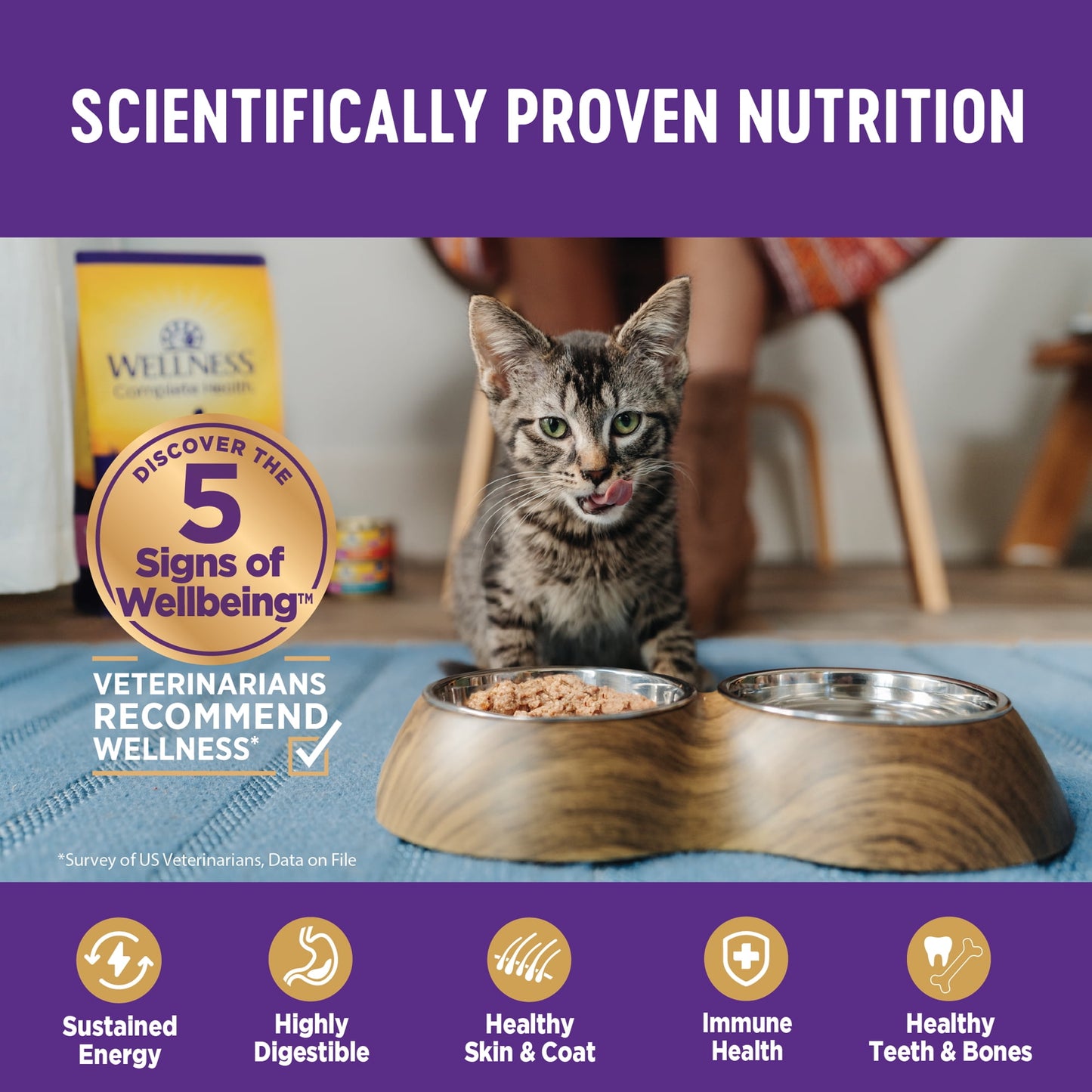 Wellness Complete Health Natural Grain Free Wet Canned Cat Food, Beef & Chicken Pate, 12.5 Ounce Can (Pack of 12)