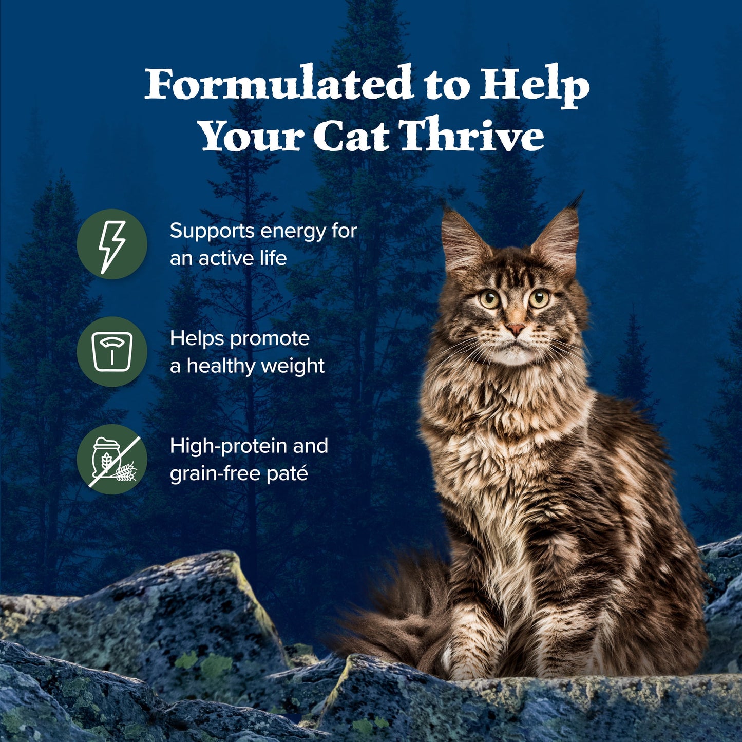 (12 pack) Blue Buffalo Wilderness High-Protein Adult Cat Wet Food, Duck, 3-oz. Can