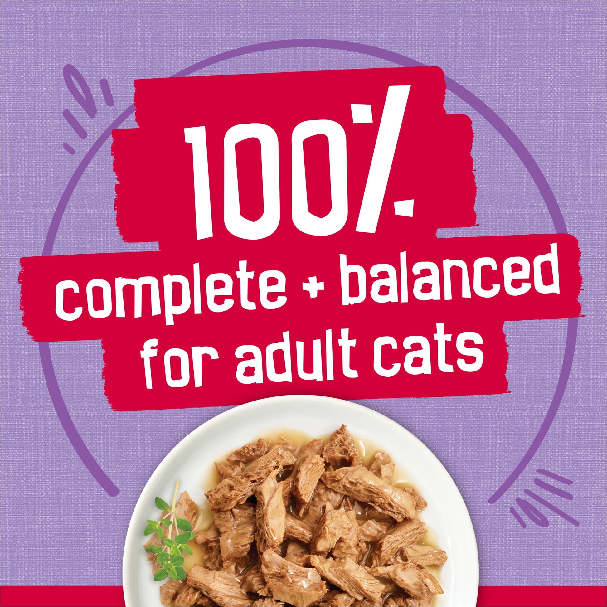 (12 pack) Purina Friskies Prime Filets Turkey Dinner in Gravy, Wet Cat Food, 5.5 oz Can