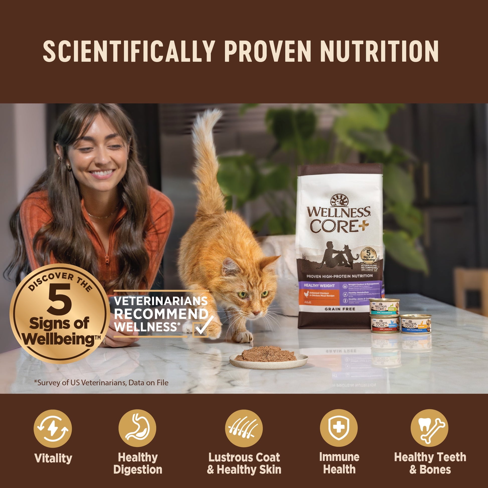 Wellness CORE+ Digestive Health Pate Adult Wet Cat Food, Natural, Protein-Rich, Grain Free, 3 Ounce, 12 Pack (Salmon & Whitefish Variety Pack)