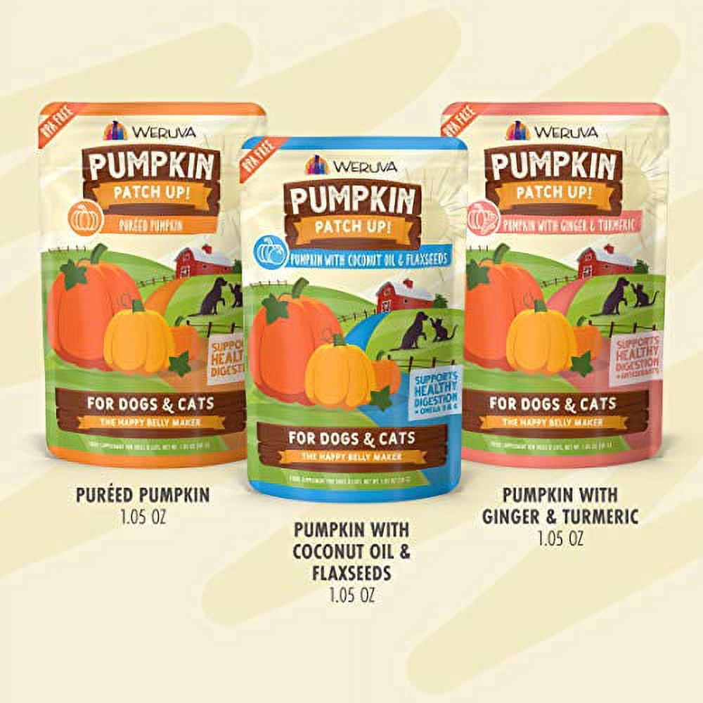 Weruva Pumpkin Patch Up! Pumpkin Pouches for Dogs & Cats