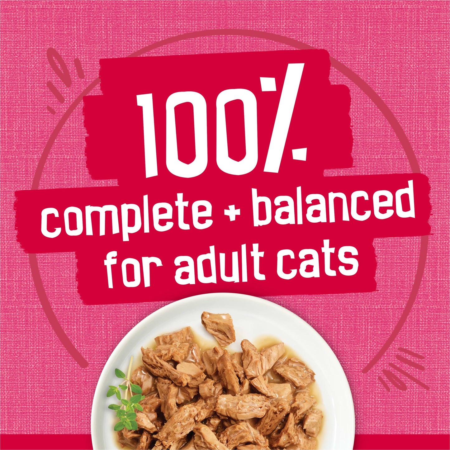Purina Friskies Prime Filets With Salmon and Beef in Sauce, Wet Cat Food, 5.5 oz Can