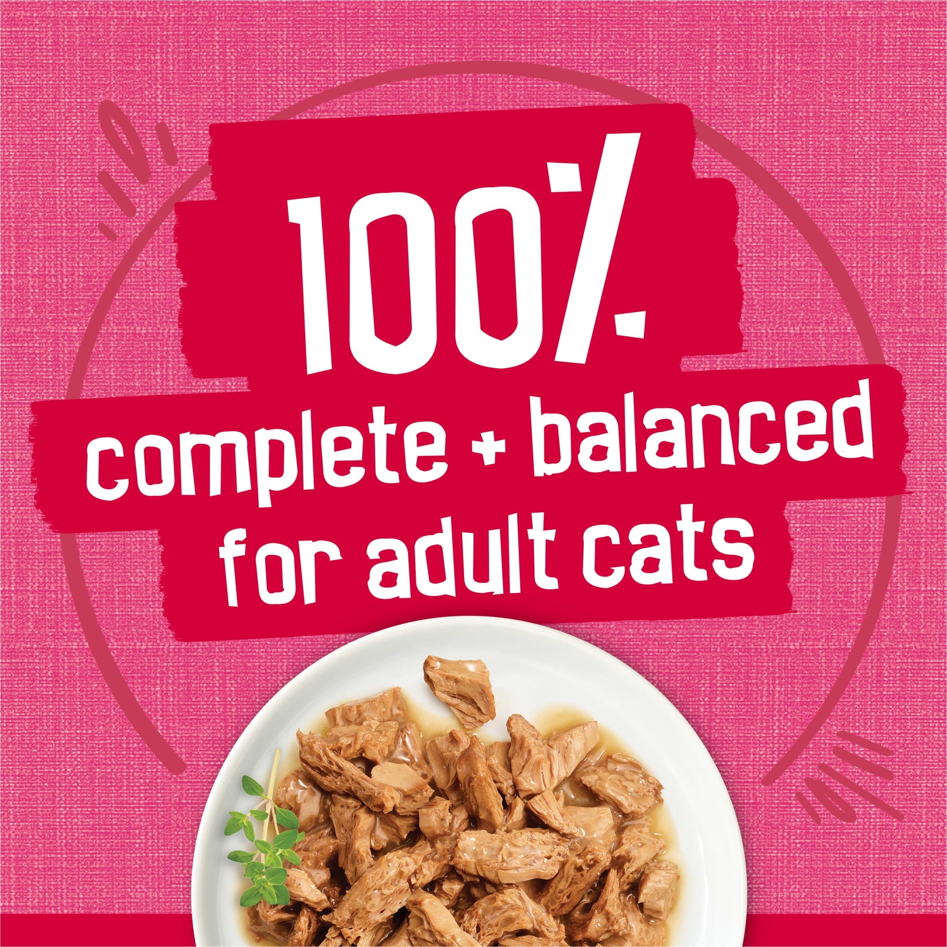 Purina Friskies Prime Filets With Salmon and Beef in Sauce, Wet Cat Food, 5.5 oz Can