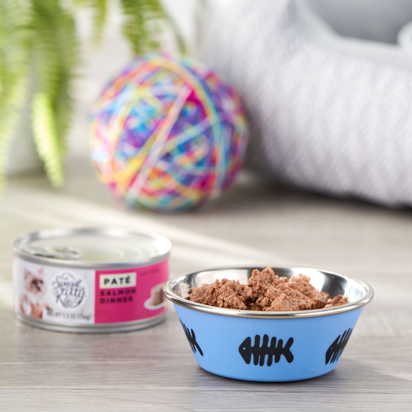 Special Kitty Salmon Dinner Pate Wet Cat Food, 5.5 oz Can