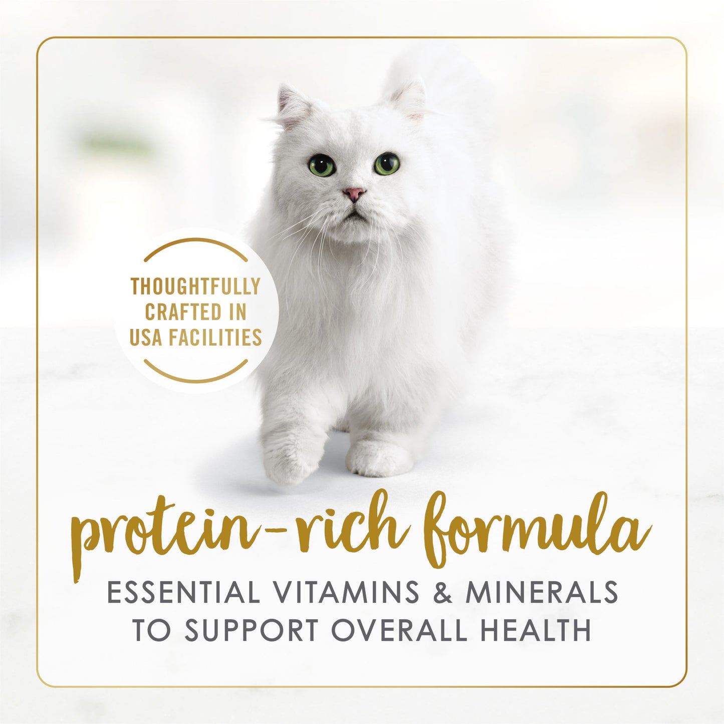 Purina Fancy Feast Grilled Kitten Food, Wet Cat Food, Poultry & Beef, 3 oz Cans (24 Pack)