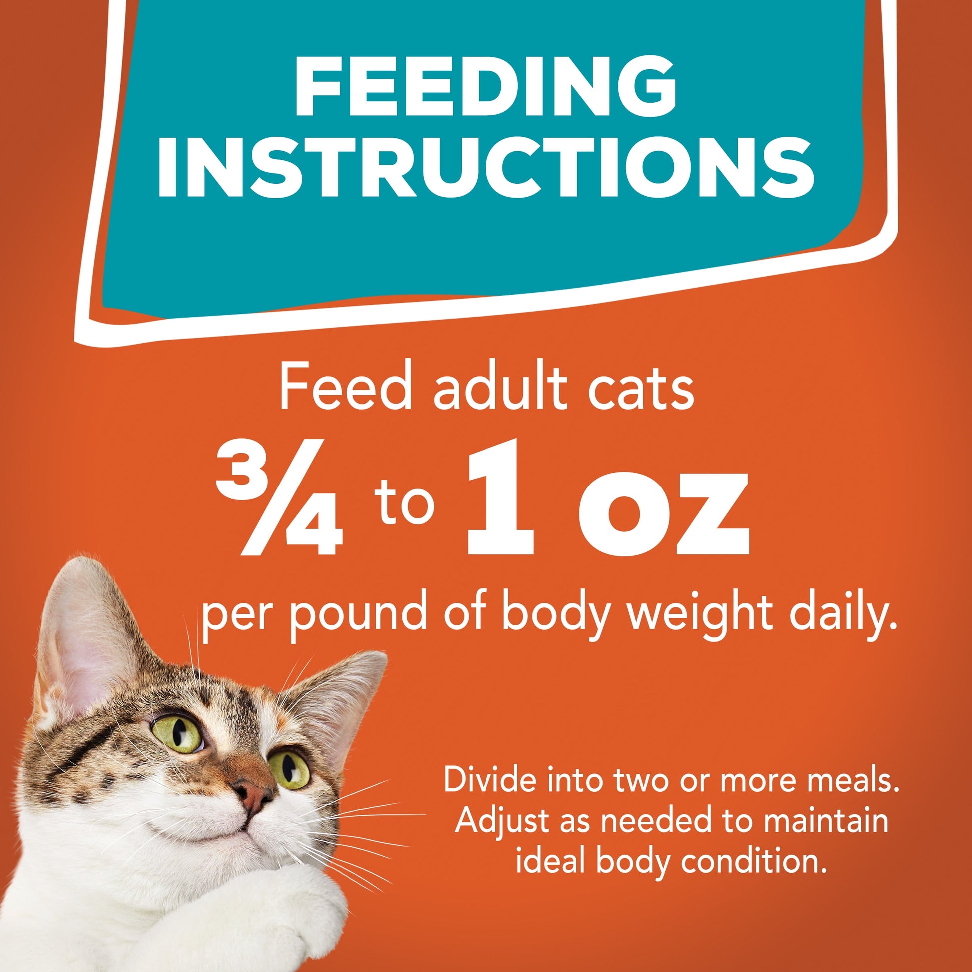 (12 pack) Purina Friskies Chicken and Tuna, Wet Cat Food, 5.5 oz Can