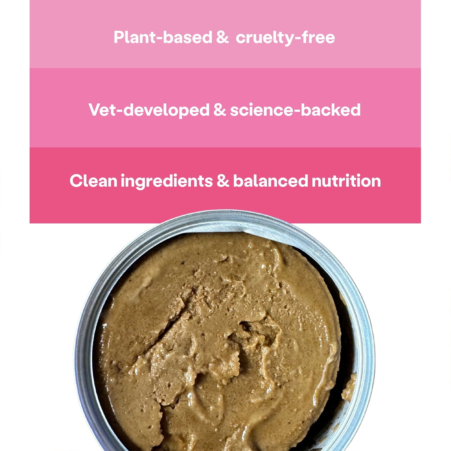 Wild Earth Vegan Wet Cat Food | Grain Free Taurine Fortified | Digestive Support, Allergen-Free, Veterinarian-Developed | Plant-Based High-Protein Formula, 12 Cans of Unicorn Pate 5.5 oz