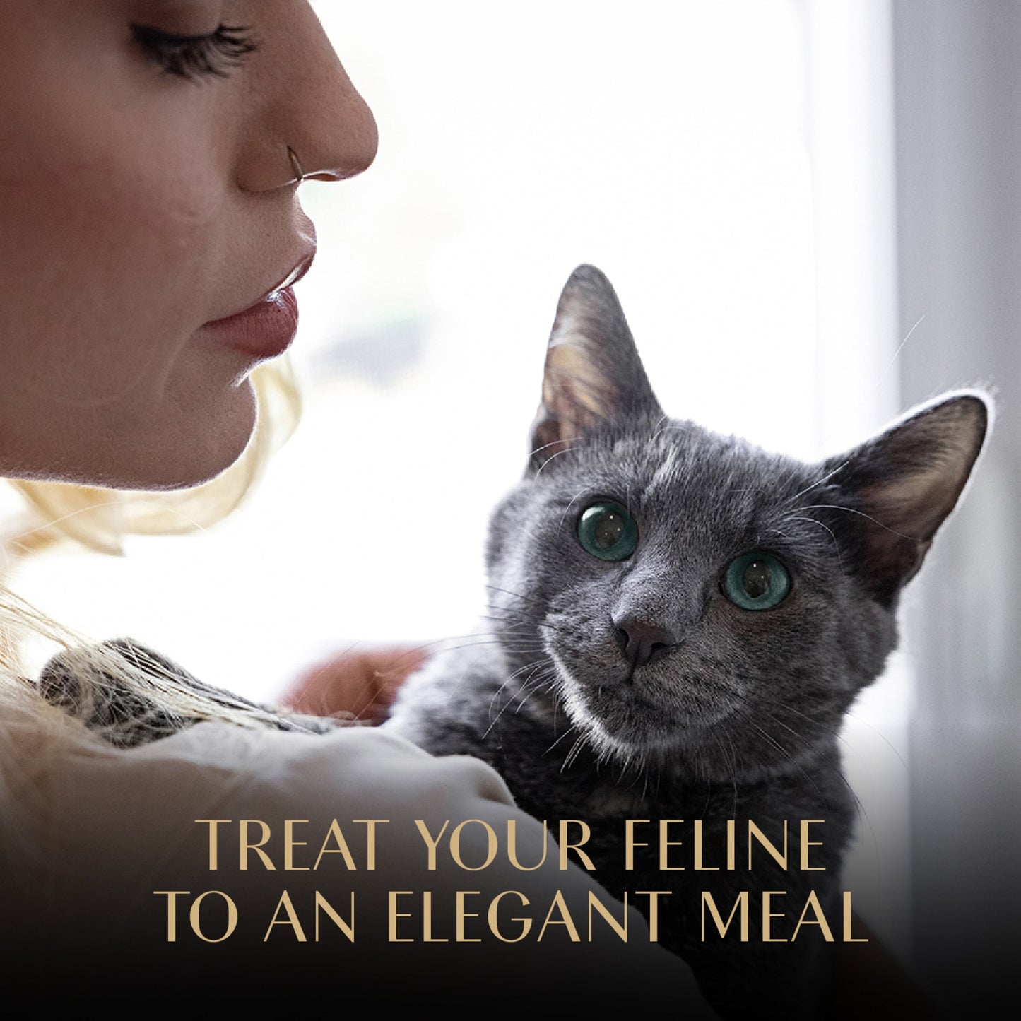 Sheba Perfect Portions Cuts In Gravy Tender Turkey Entree Wet Cat Food, 2.6 Oz Twin-Pack Tray