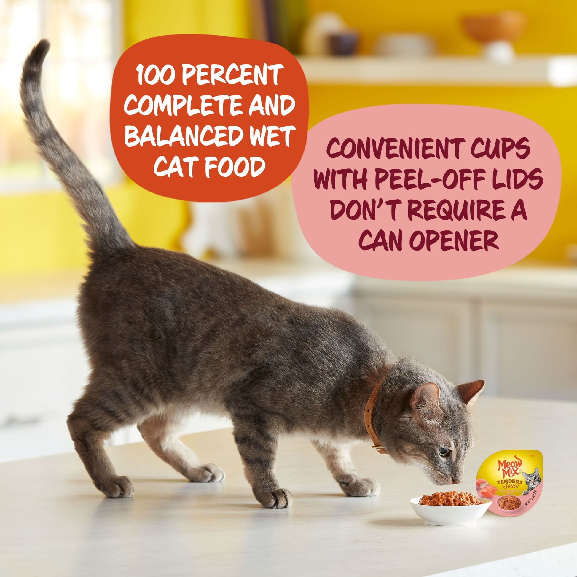 Meow Mix Tenders in Sauce with REAL Salmon & Crab, Wet Cat Food, 2.75 oz Cup