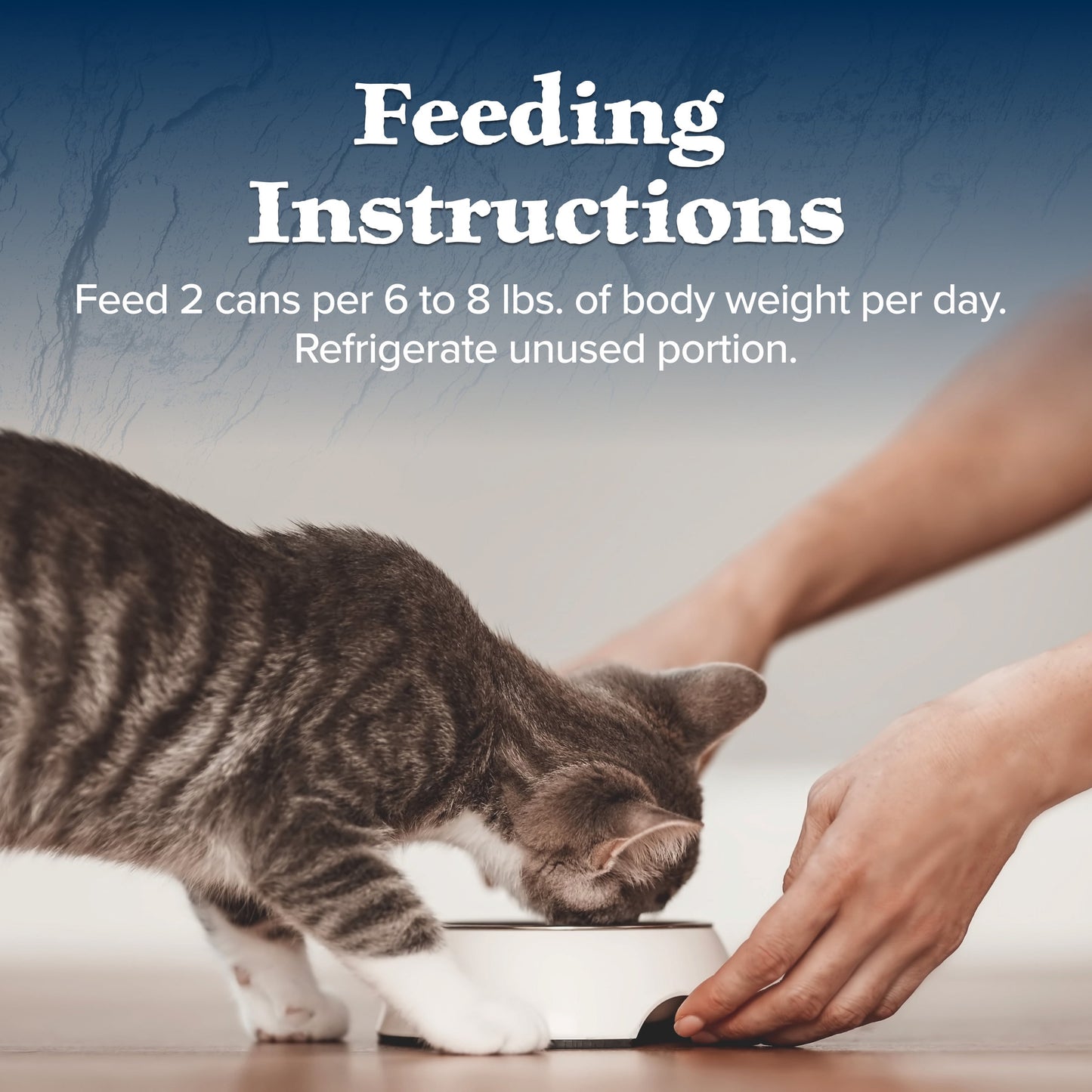 (12 pack) Blue Buffalo Wilderness High-Protein Adult Cat Wet Food, Duck, 3-oz. Can