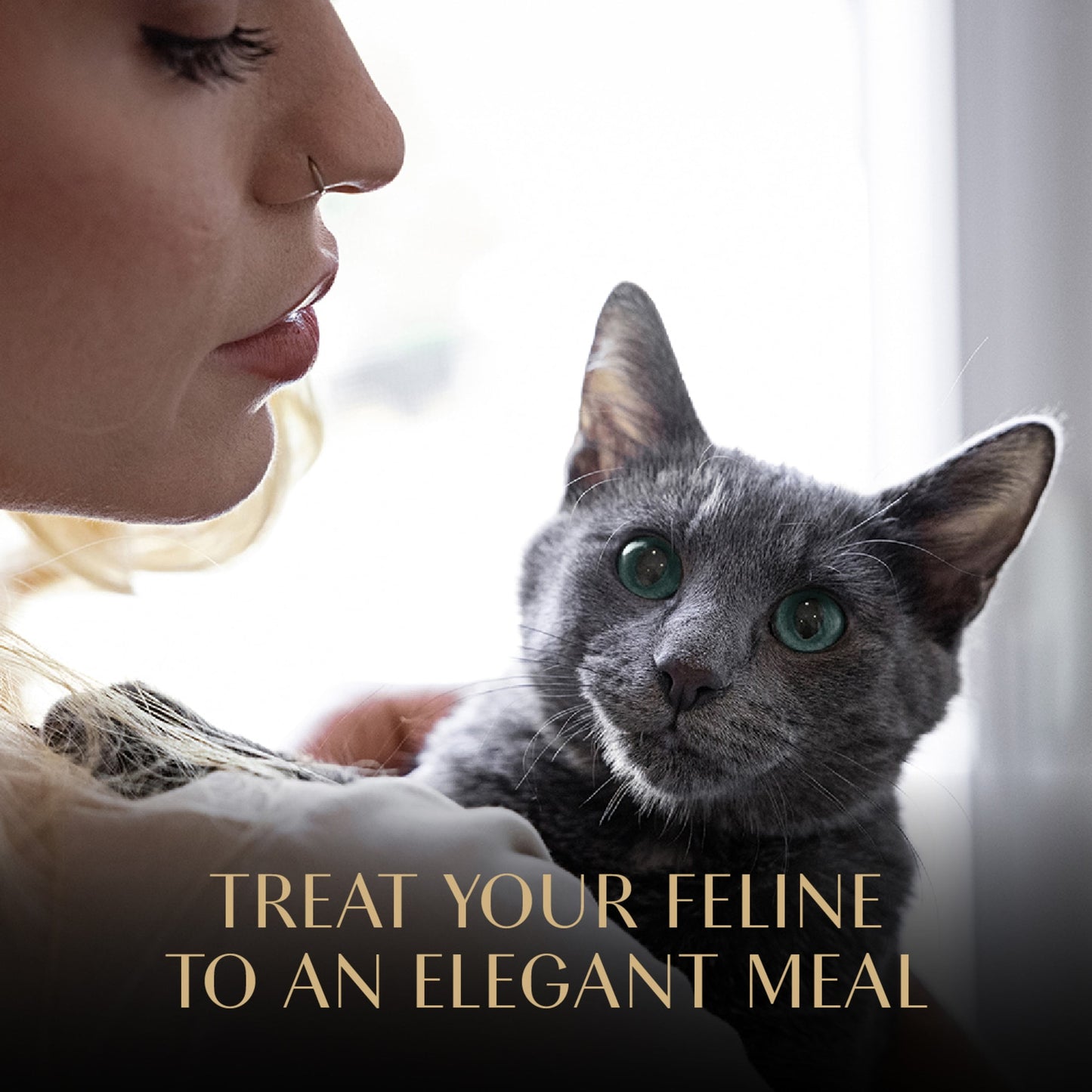 Sheba Perfect Portions Tender Beef Entree Wet Cat Food Pate, 2.6 oz Twin-Pack Tray
