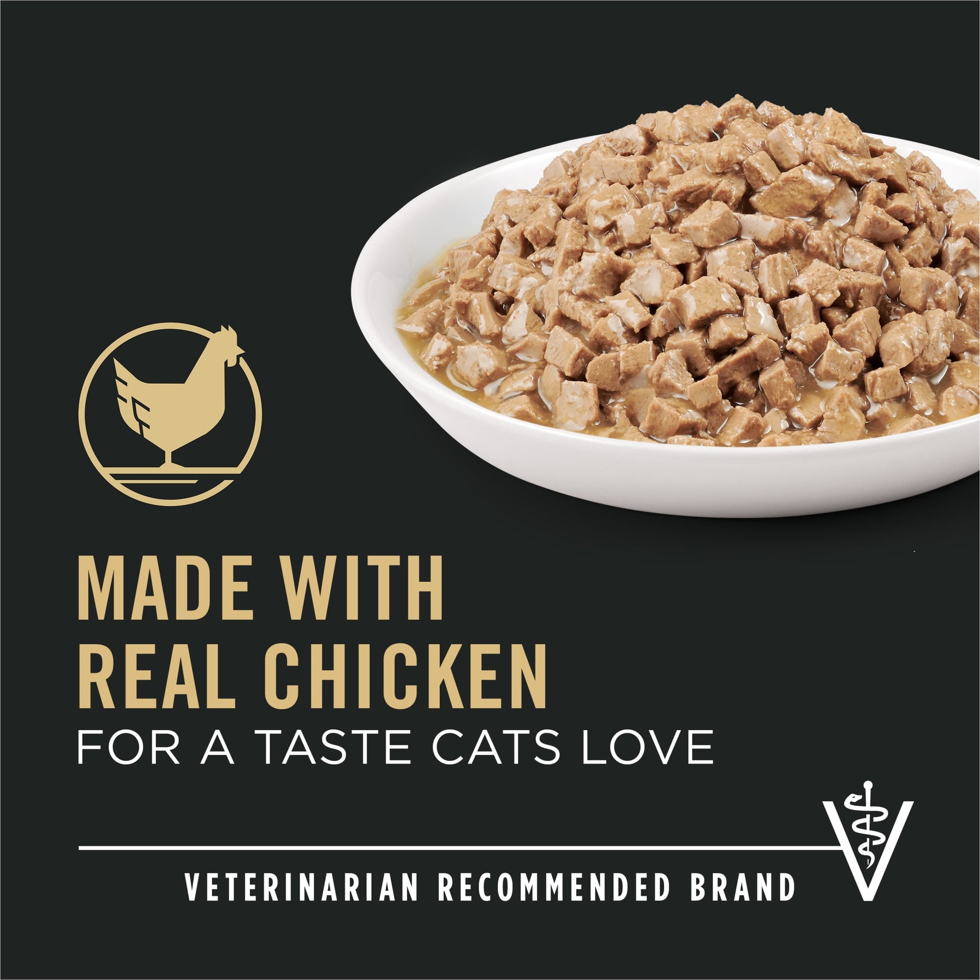 Purina Pro Plan Urinary Tract Health, Chicken Entree in Gravy, Wet Cat Food, 12 Count, 5.5 oz Cans