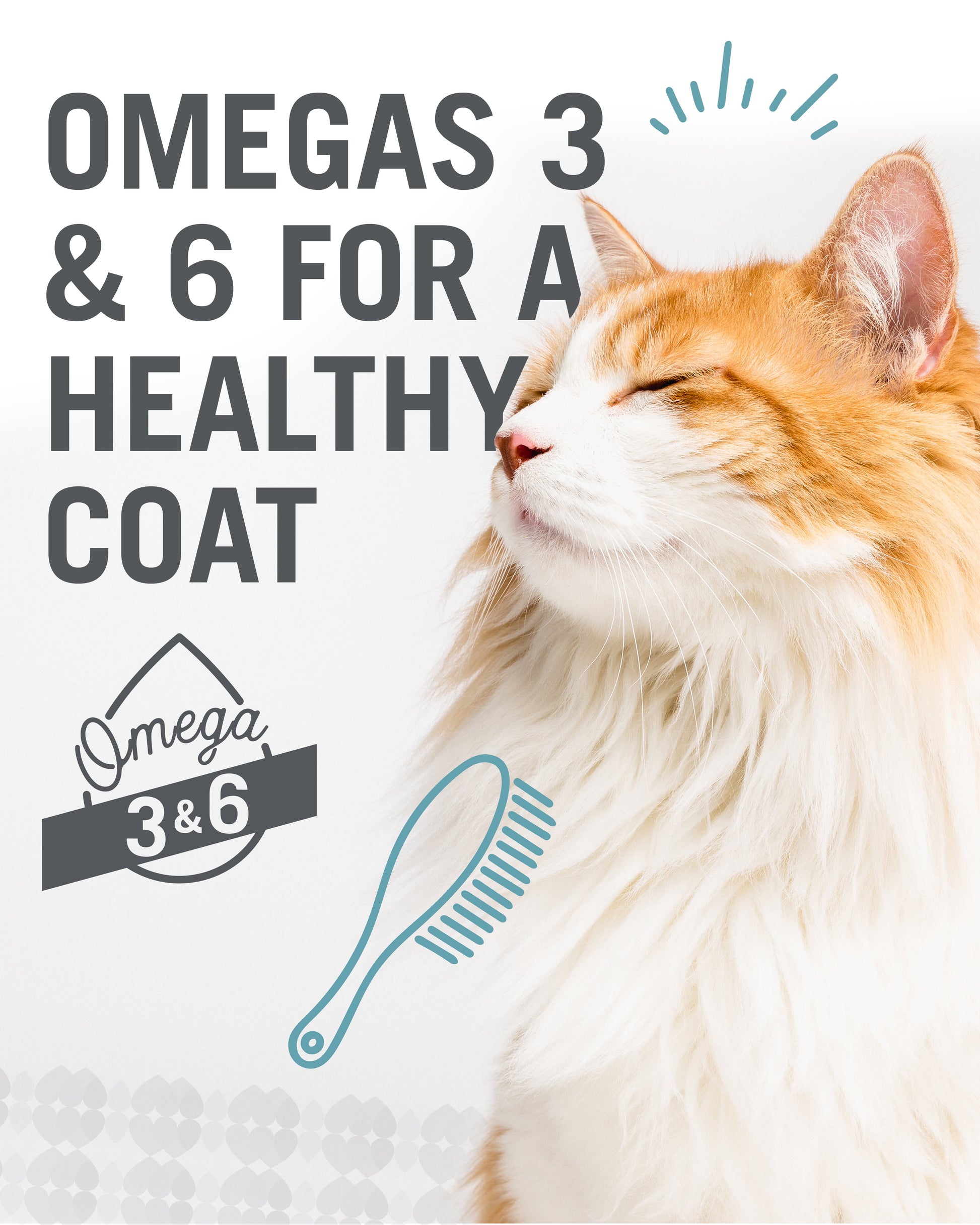 "I and love and you" Wet Cat Food Variety Pack; Chicky-Da-Lish, Salmon Chanted Evening, Tuna Fintastic