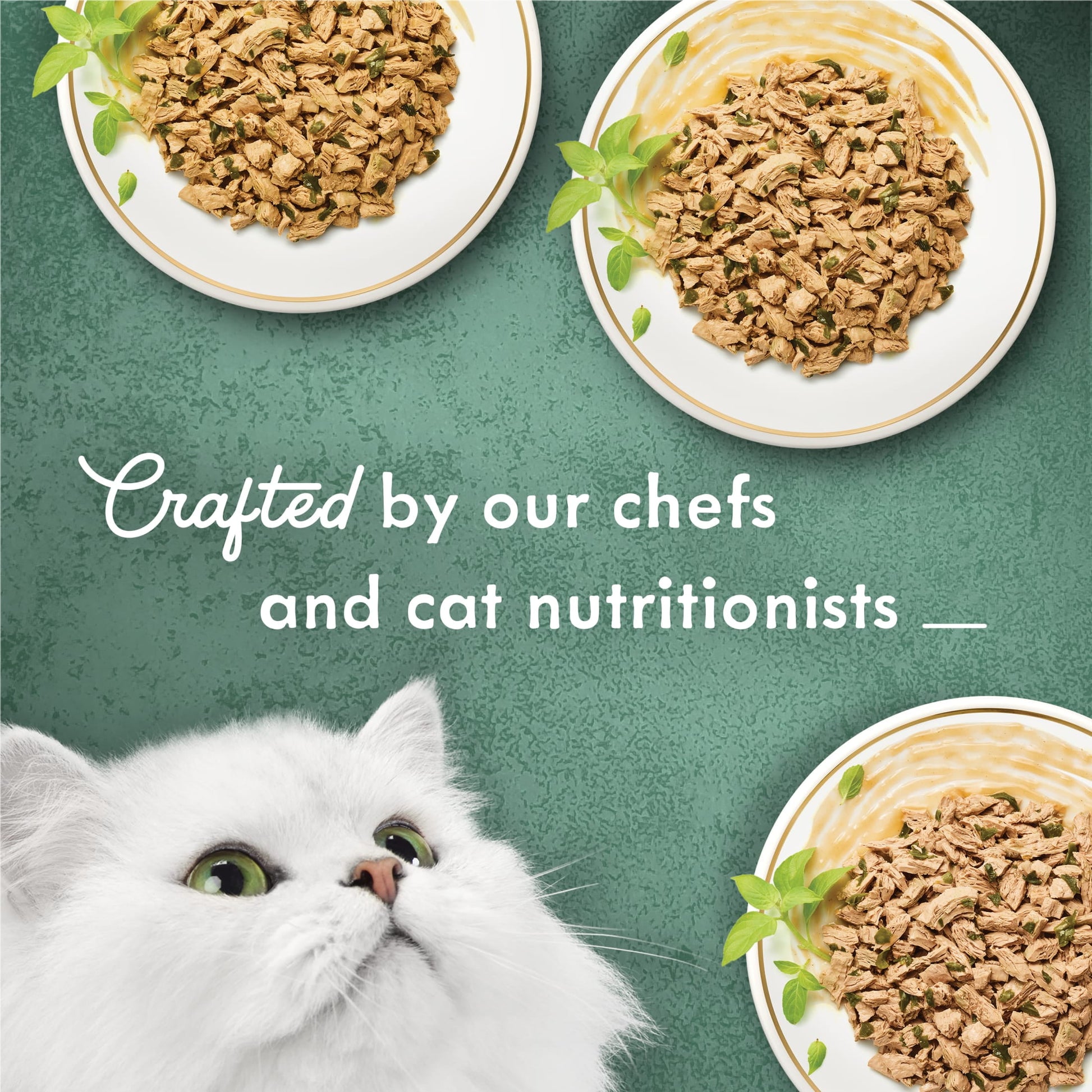 (2 pack) Purina Fancy Feast Medleys Kitten Food, Wet Cat Food, Shredded Fare Collection, 3 oz Cans (12 Pack)
