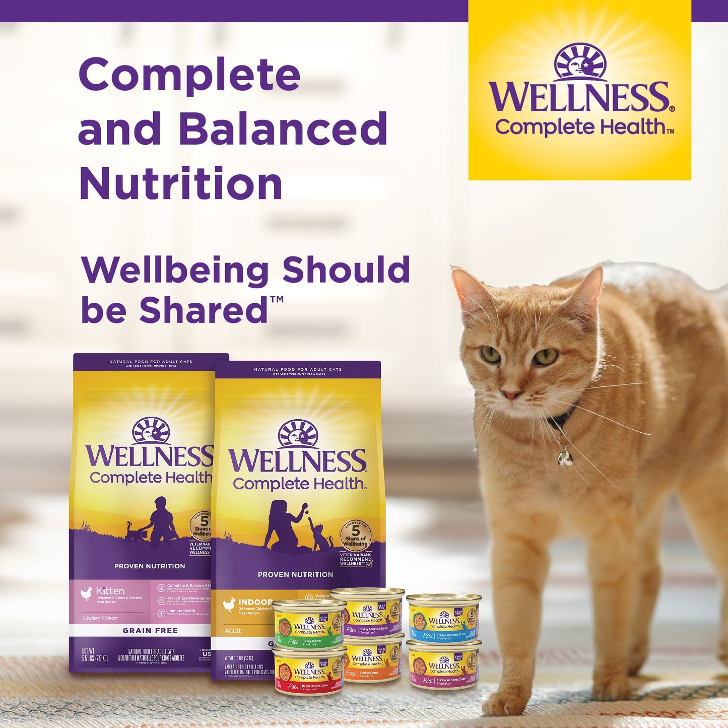Wellness Complete Health Natural Grain Free Wet Canned Cat Food, Beef & Chicken Pate, 12.5 Ounce Can (Pack of 12)
