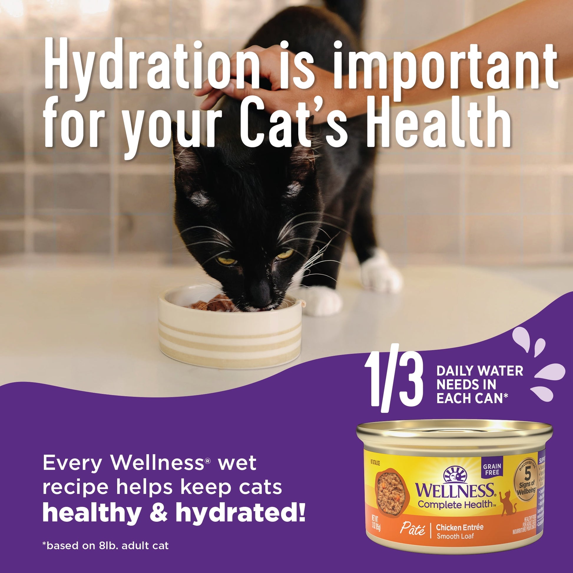 Wellness Complete Health Natural Grain Free Wet Canned Cat Food, Beef & Chicken Pate, 12.5 Ounce Can (Pack of 12)