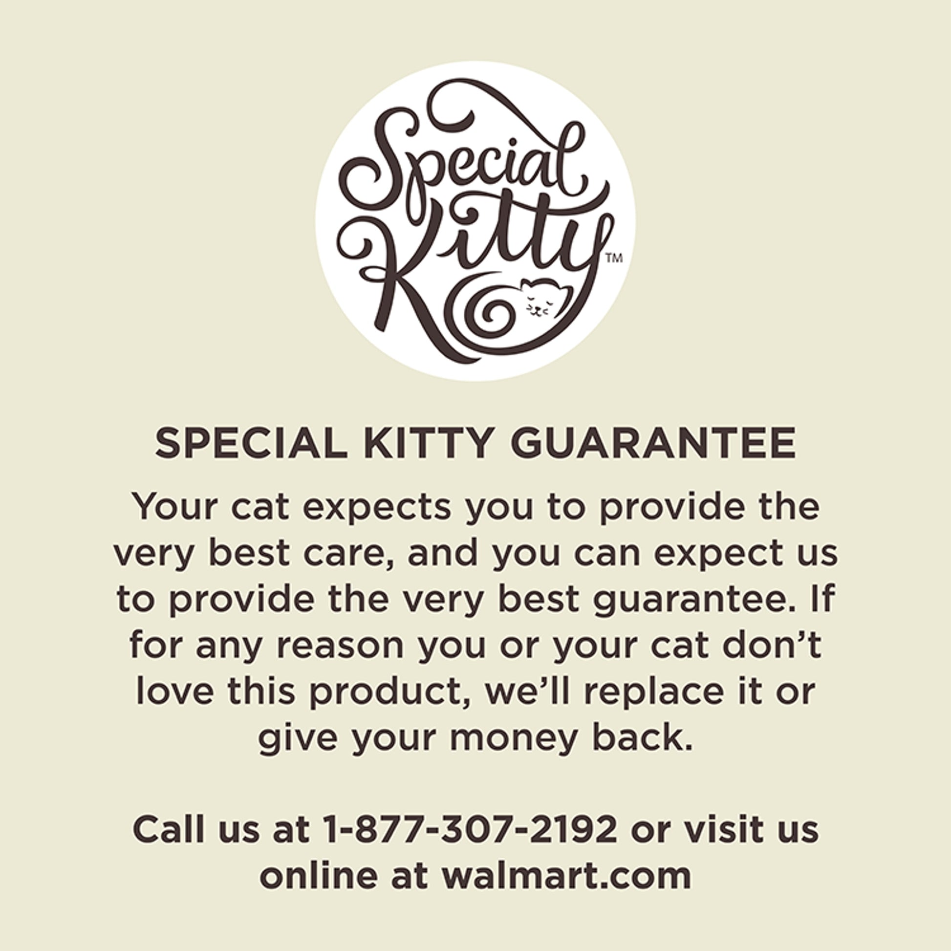 (12 pack) Special Kitty Classic Tuna Dinner Pate Wet Cat Food, 13 oz Can
