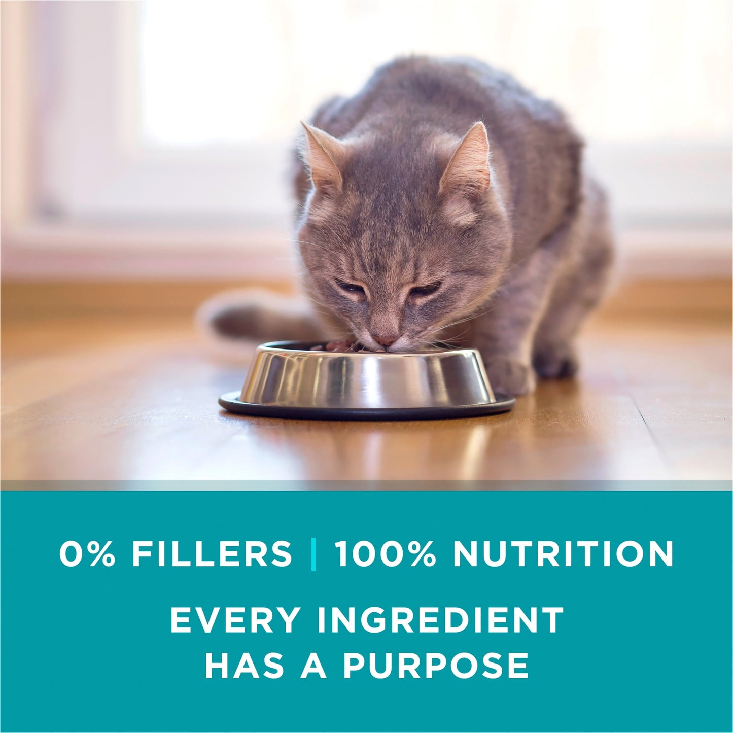 Purina ONE Natural, High Protein Wet Cat Food Variety Pack, Turkey, Chicken and Tuna, 12 Pack, 3 oz Cans