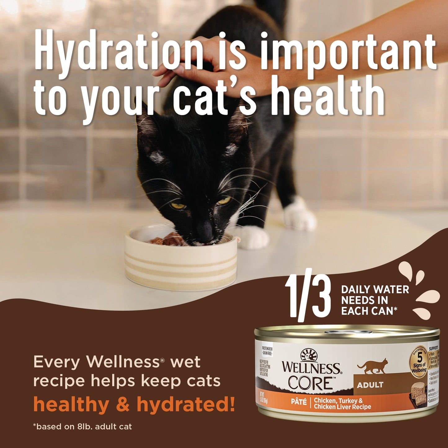 Wellness CORE+ Digestive Health Pate Adult Wet Cat Food, Natural, Protein-Rich, Grain Free, 3 Ounce, 12 Pack (Salmon & Whitefish Variety Pack)
