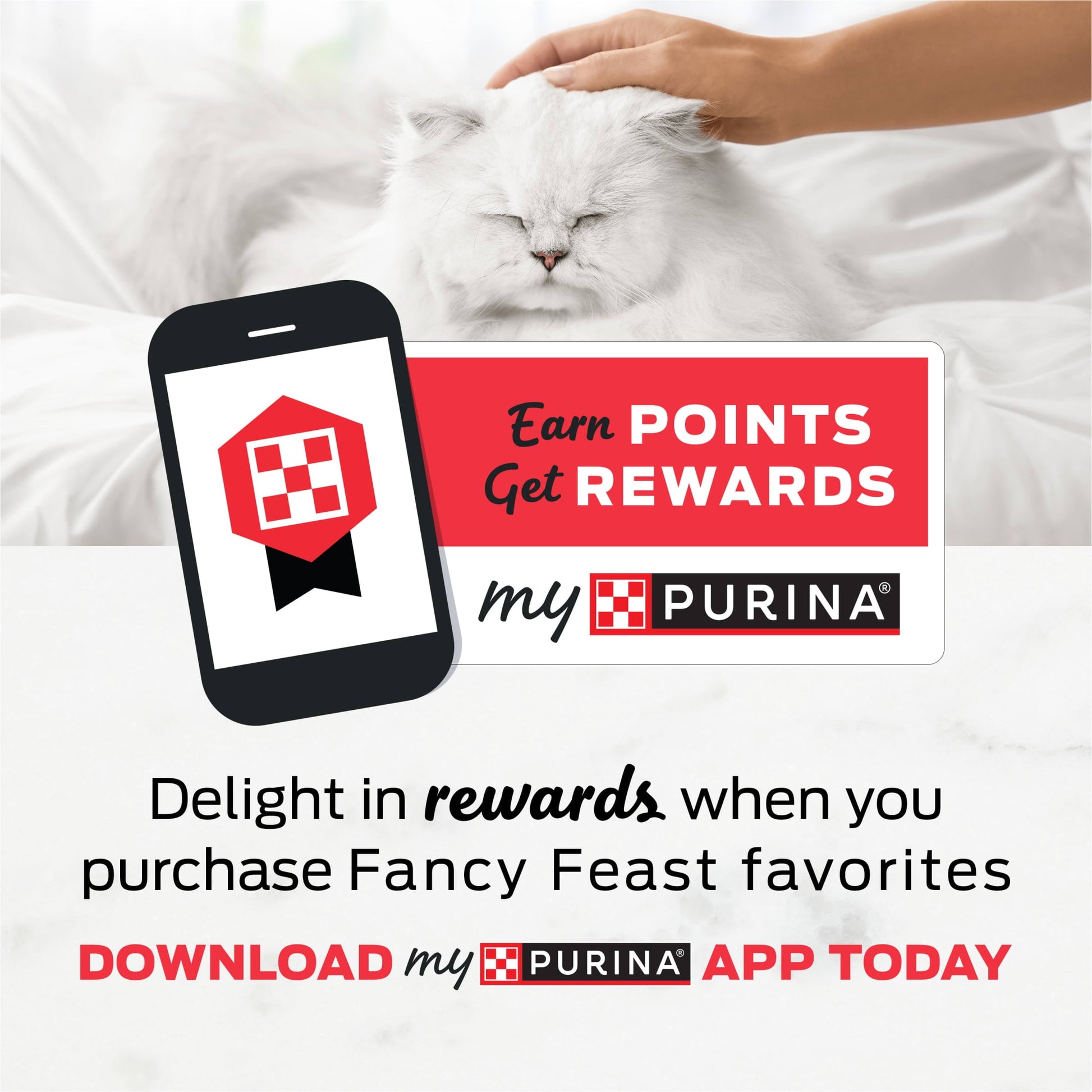 (2 pack) Purina Fancy Feast Petites Grilled Chicken Entrée With Rice In Gravy Gourmet Wet Cat Food Pate