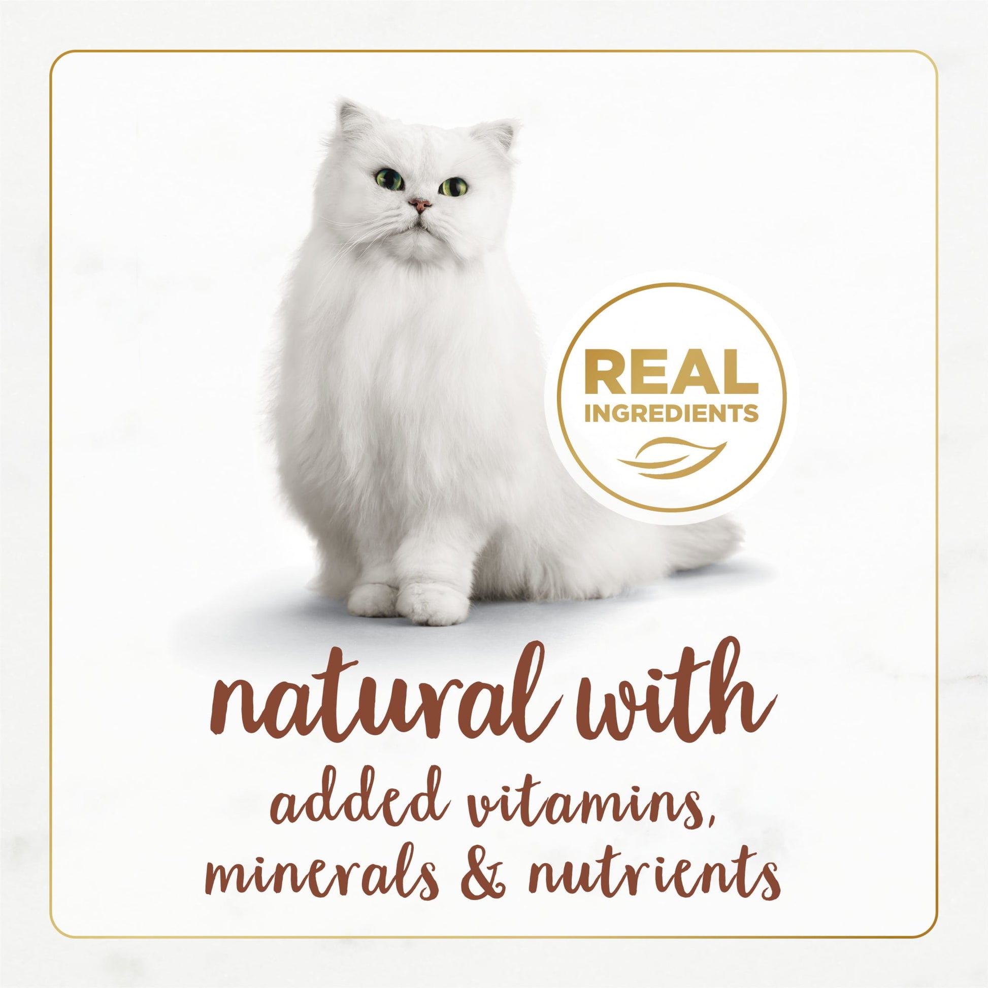 Purina Fancy Feast Gourmet Naturals Kitten Food, Wet Cat Food, Poultry & Beef, 3 oz Cans (30 Pack)