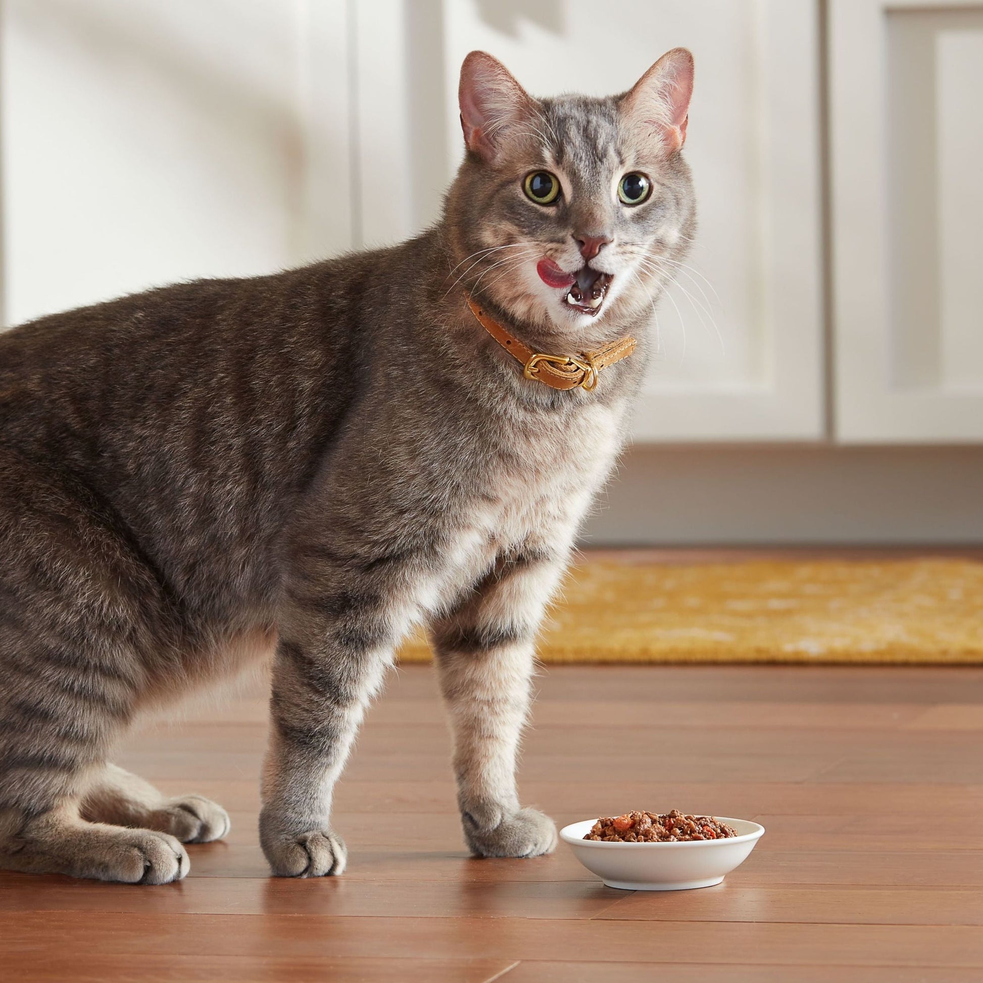 Meow Mix Tender Favorites with REAL Tuna & Whole Shrimp in Sauce, Wet Cat Food, 2.75 oz