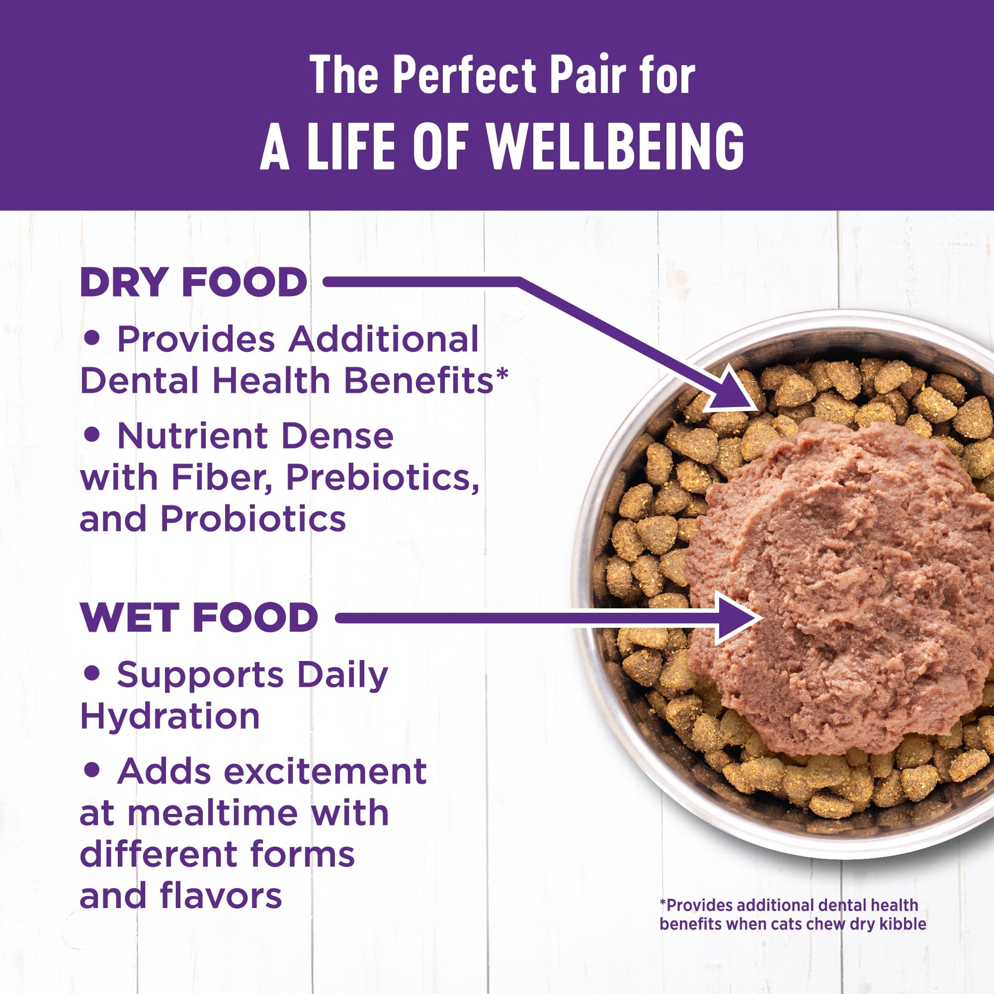 Wellness Complete Health Natural Grain Free Wet Canned Cat Food, Beef & Chicken Pate, 12.5 Ounce Can (Pack of 12)