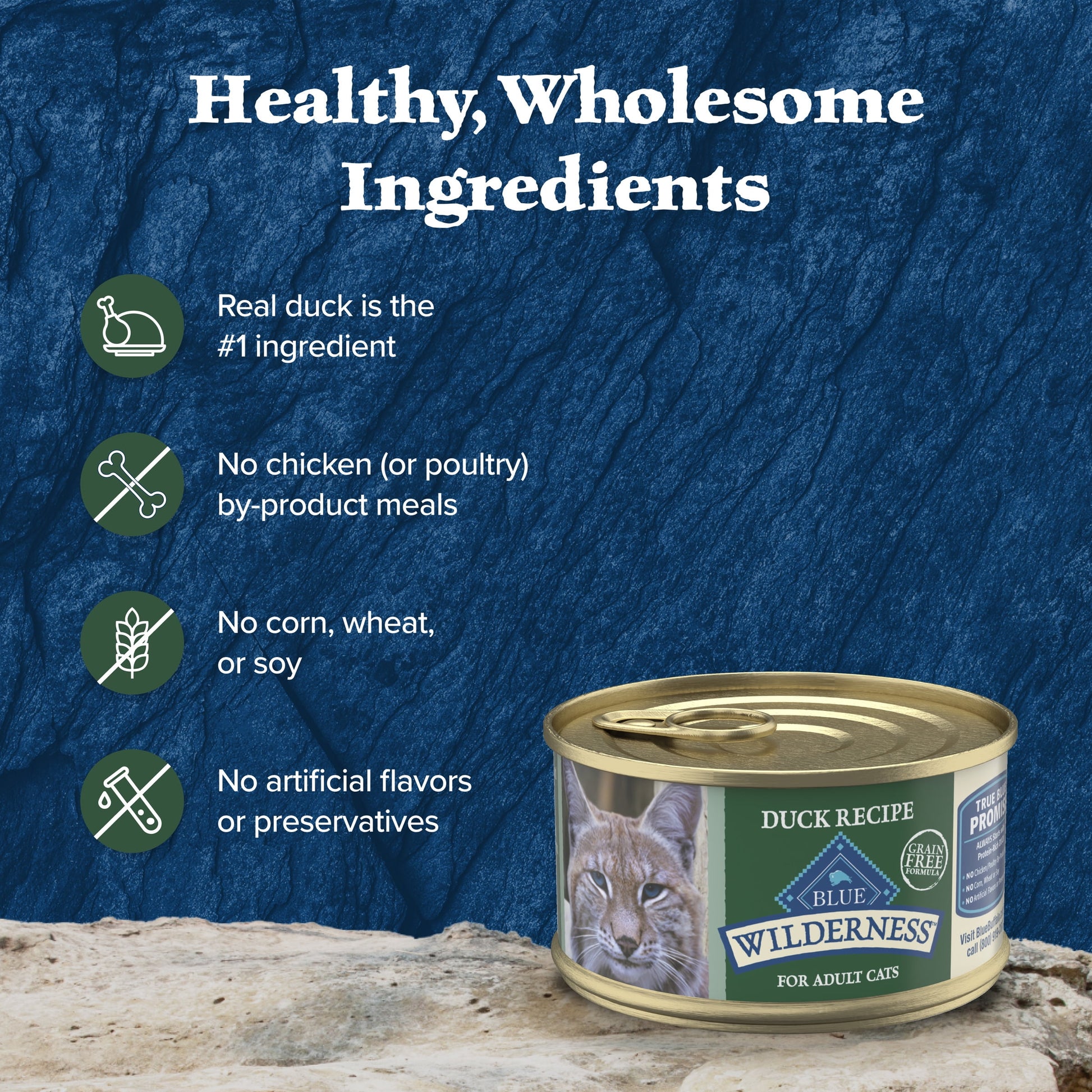 (12 pack) Blue Buffalo Wilderness High-Protein Adult Cat Wet Food, Duck, 3-oz. Can