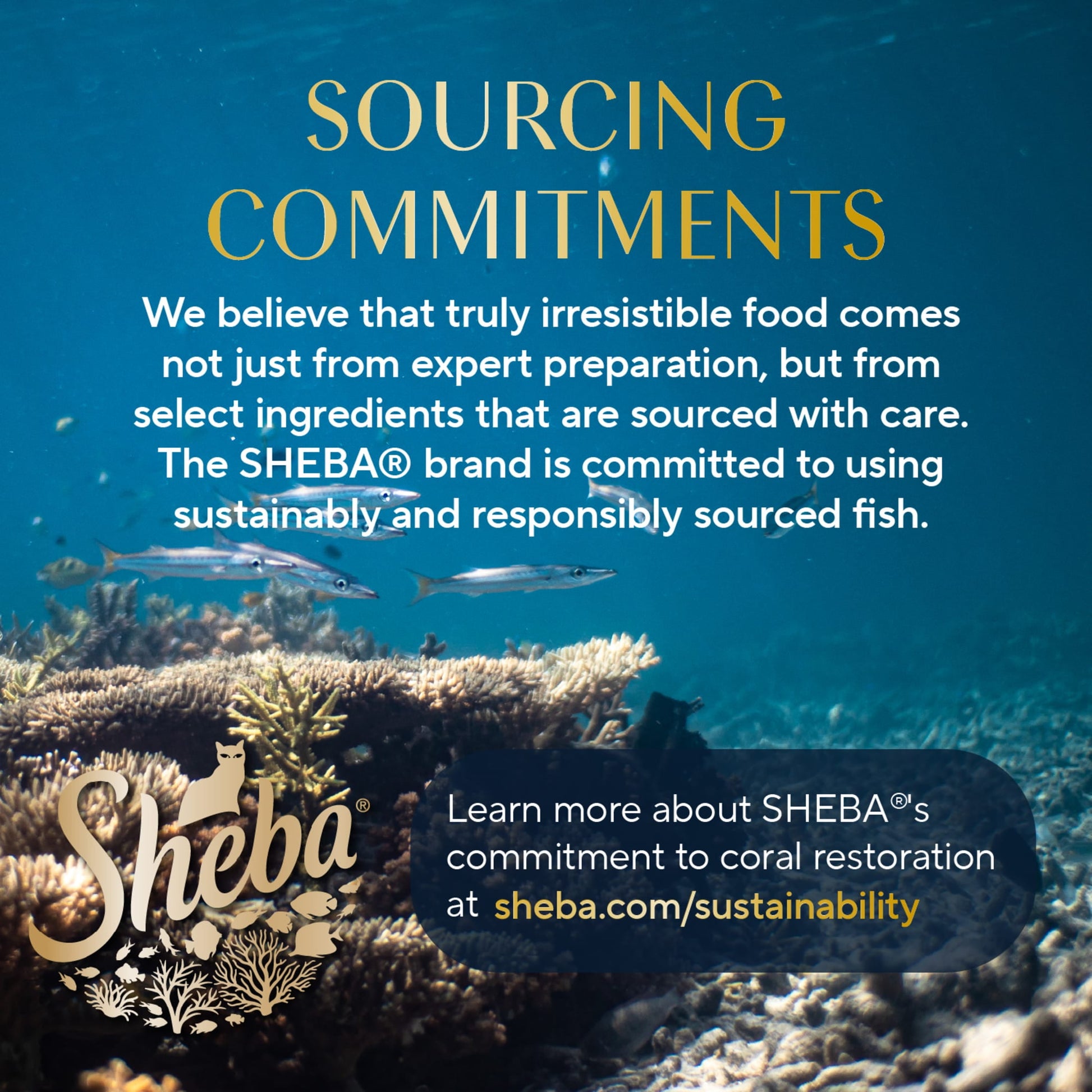 Sheba Wet Cat Food Cuts in Gravy with Sustainable Tuna, 2.6 oz Perfect Portions Twin-Pack Tray