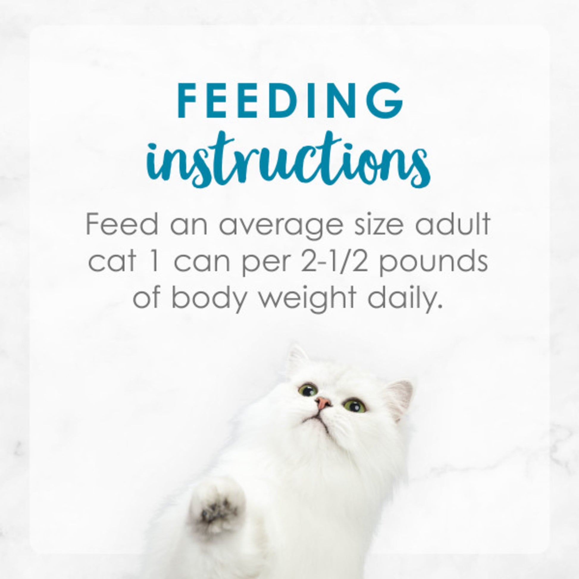 Purina Fancy Feast Medleys Wet Cat Food, Turkey Floretine & Spinach, 3 oz Cans (24 Pack)
