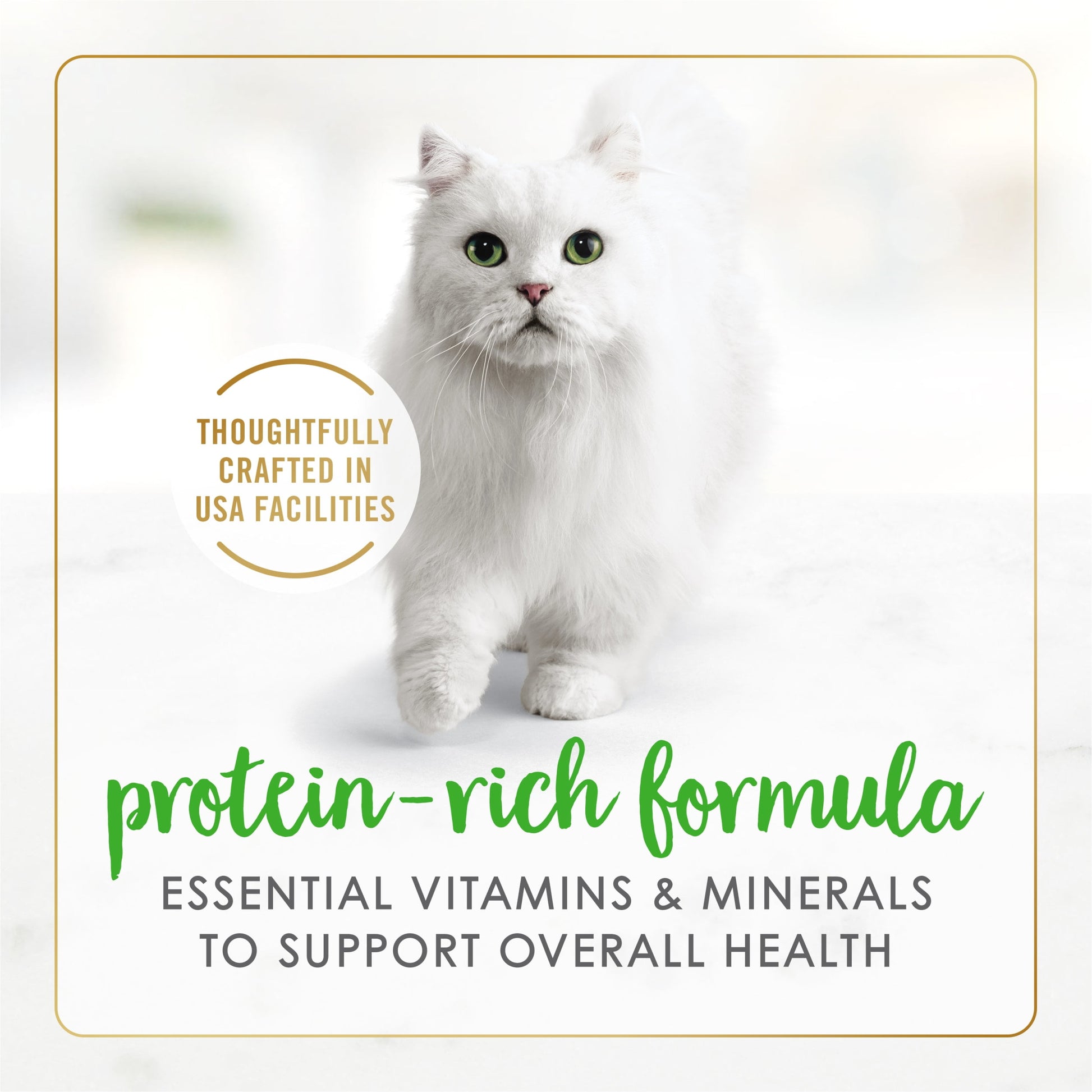 Purina Fancy Feast Chopped Grill Feast Classic Grain Free Wet Cat Food Pate