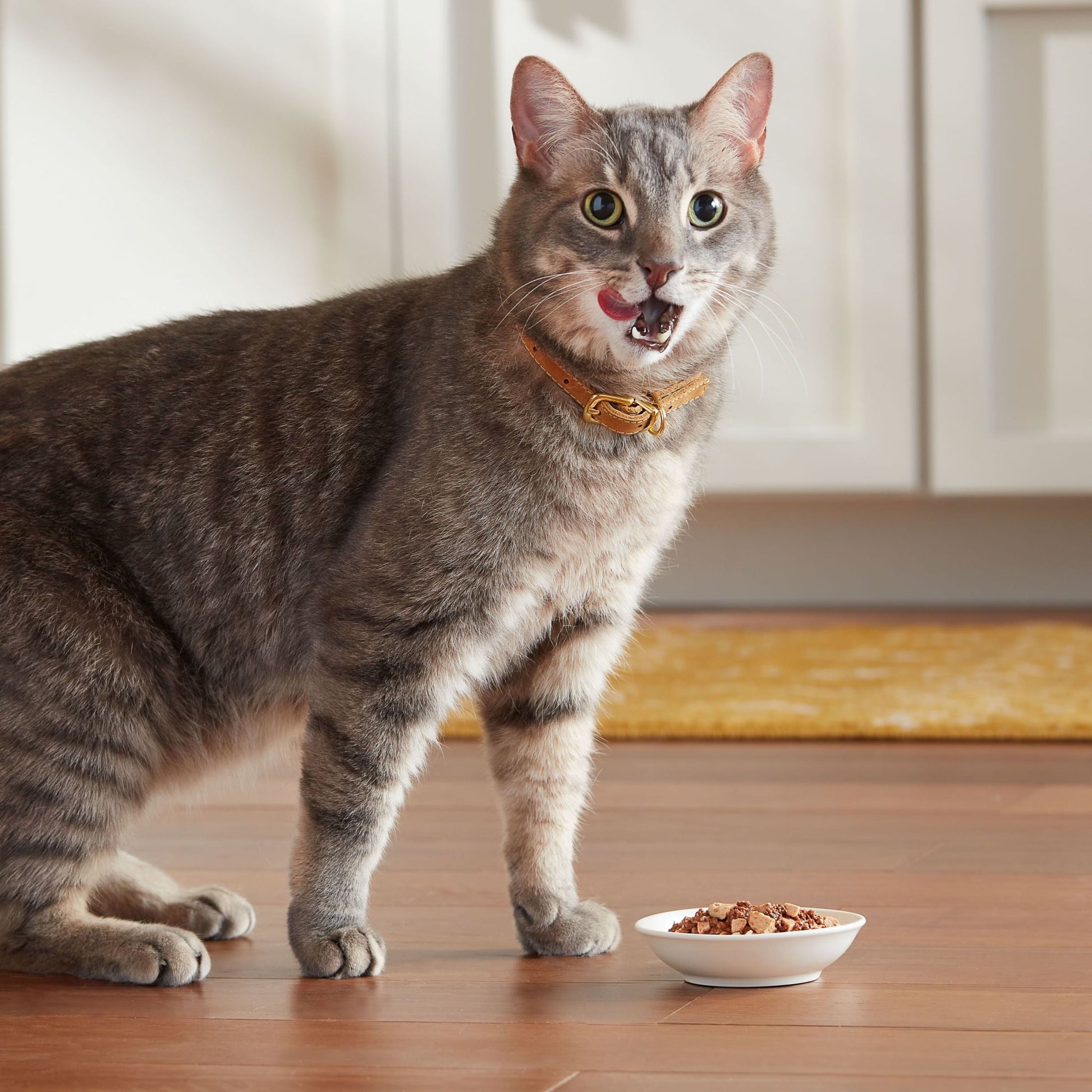 Meow Mix Wet Cat Food Variety Pack, Poultry Selects, 24 Cups, 2.75 oz Each