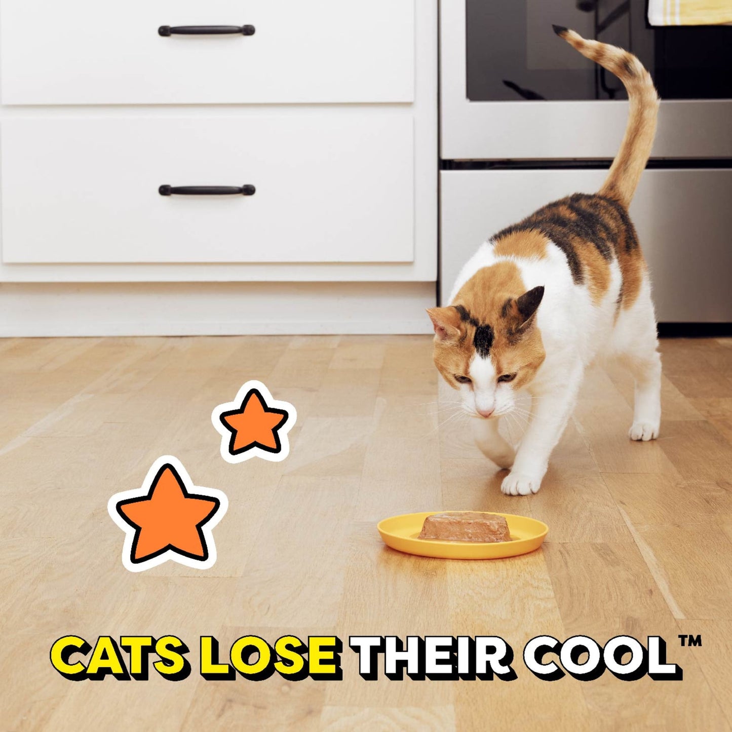 Temptations Bites In Gravy Catnip Fever Flavor Adult Wet Cat Food, 3.5 Oz Tray