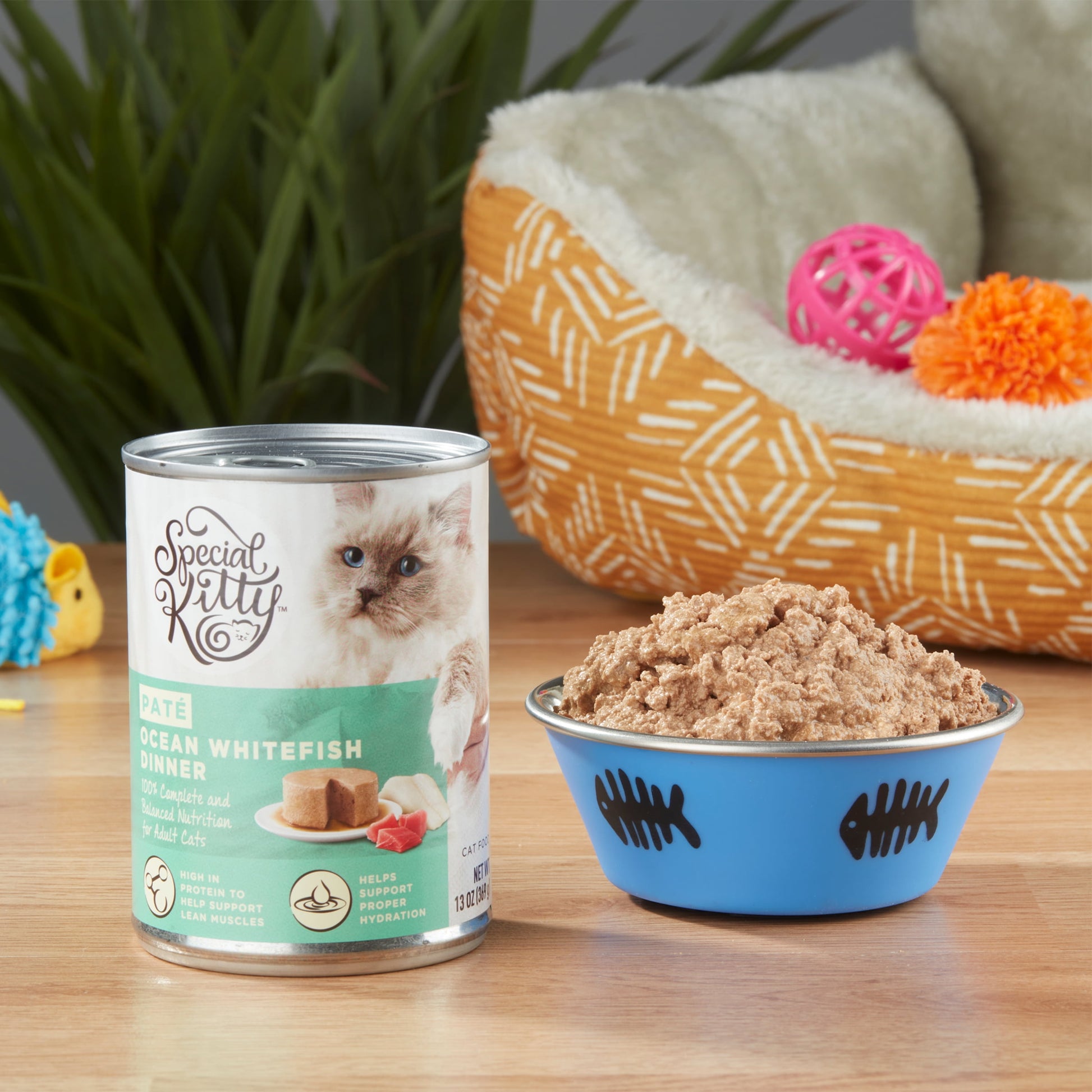 (6 pack) Special Kitty Ocean Whitefish Dinner Pate Wet Cat Food, 13 oz can