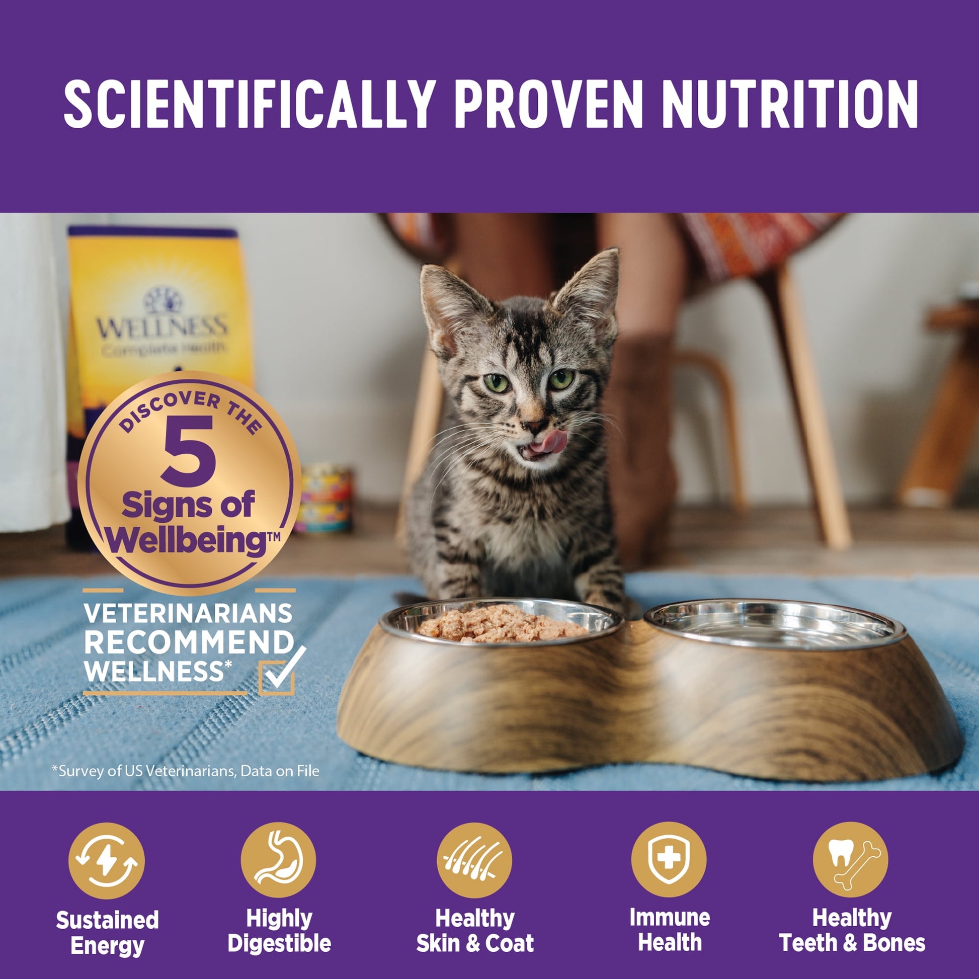 Wellness Complete Health Natural Grain Free Wet Canned Cat Food, Beef & Chicken Pate, 12.5 Ounce Can (Pack of 12)