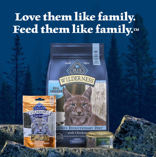 (12 pack) Blue Buffalo Wilderness High-Protein Adult Cat Wet Food, Duck, 3-oz. Can