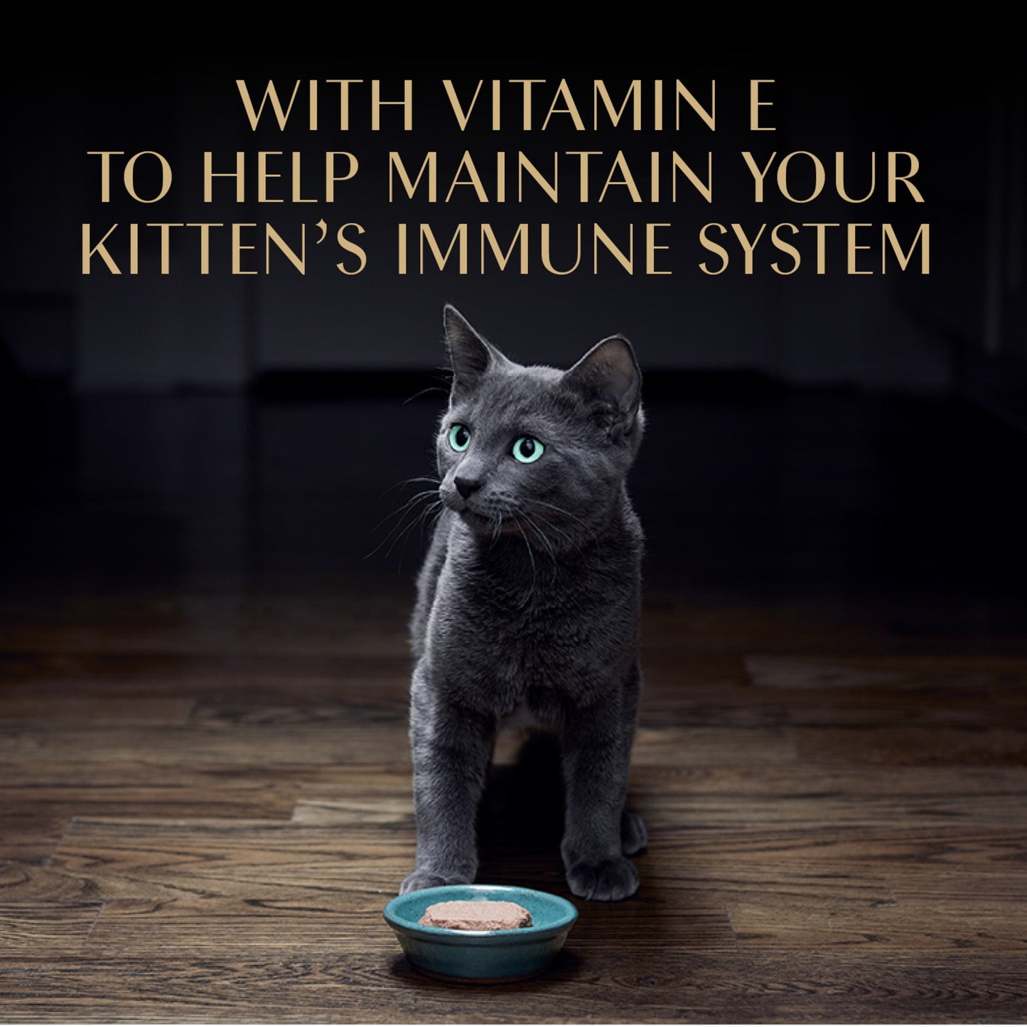 Sheba Perfect Portions Kitten Salmon Pate Entree Wet Cat Food, 2.6 Oz Twin-Pack Tray