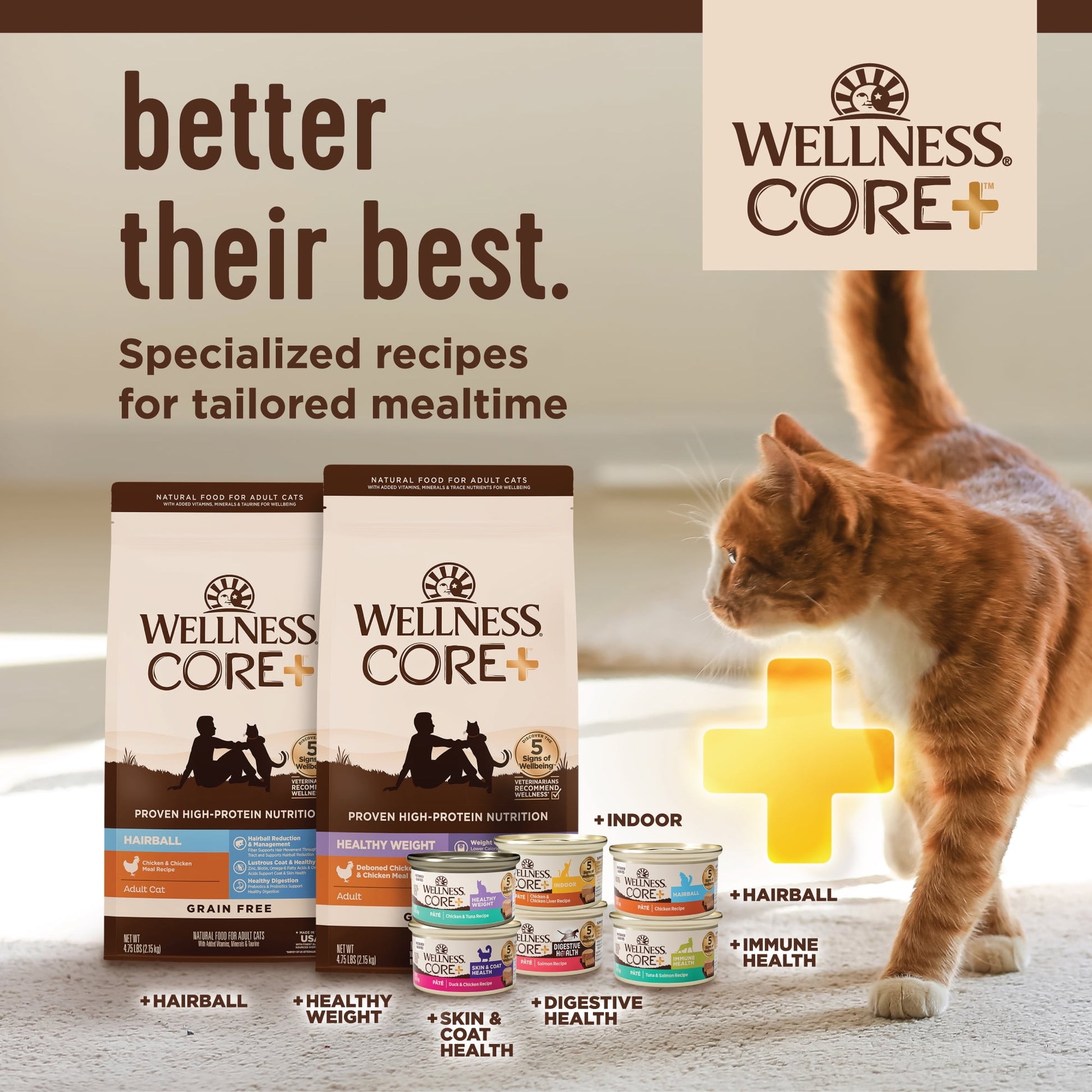Wellness CORE+ Digestive Health Pate Adult Wet Cat Food, Natural, Protein-Rich, Grain Free, 3 Ounce, 12 Pack (Salmon & Whitefish Variety Pack)