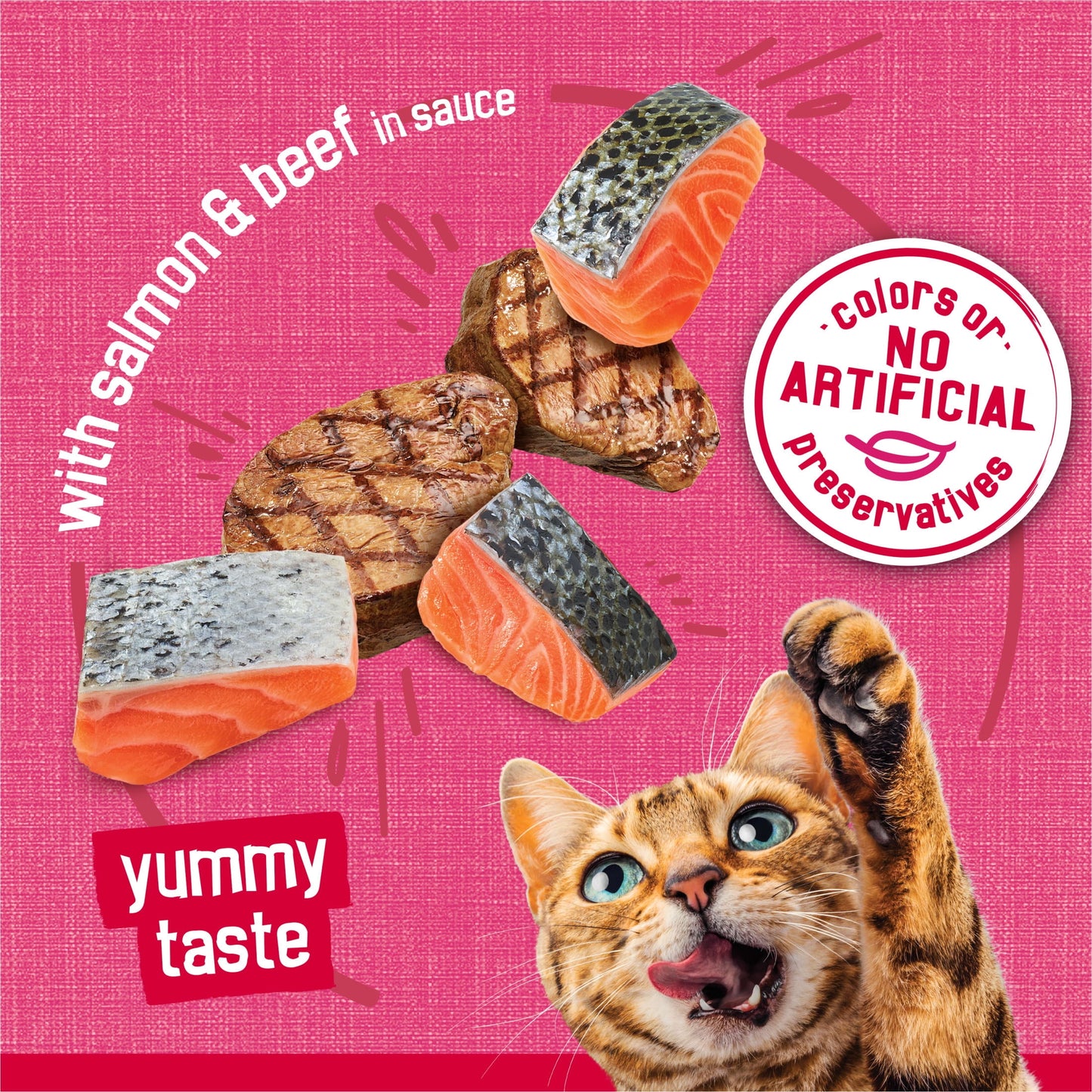 Purina Friskies Prime Filets With Salmon and Beef in Sauce, Wet Cat Food, 5.5 oz Can