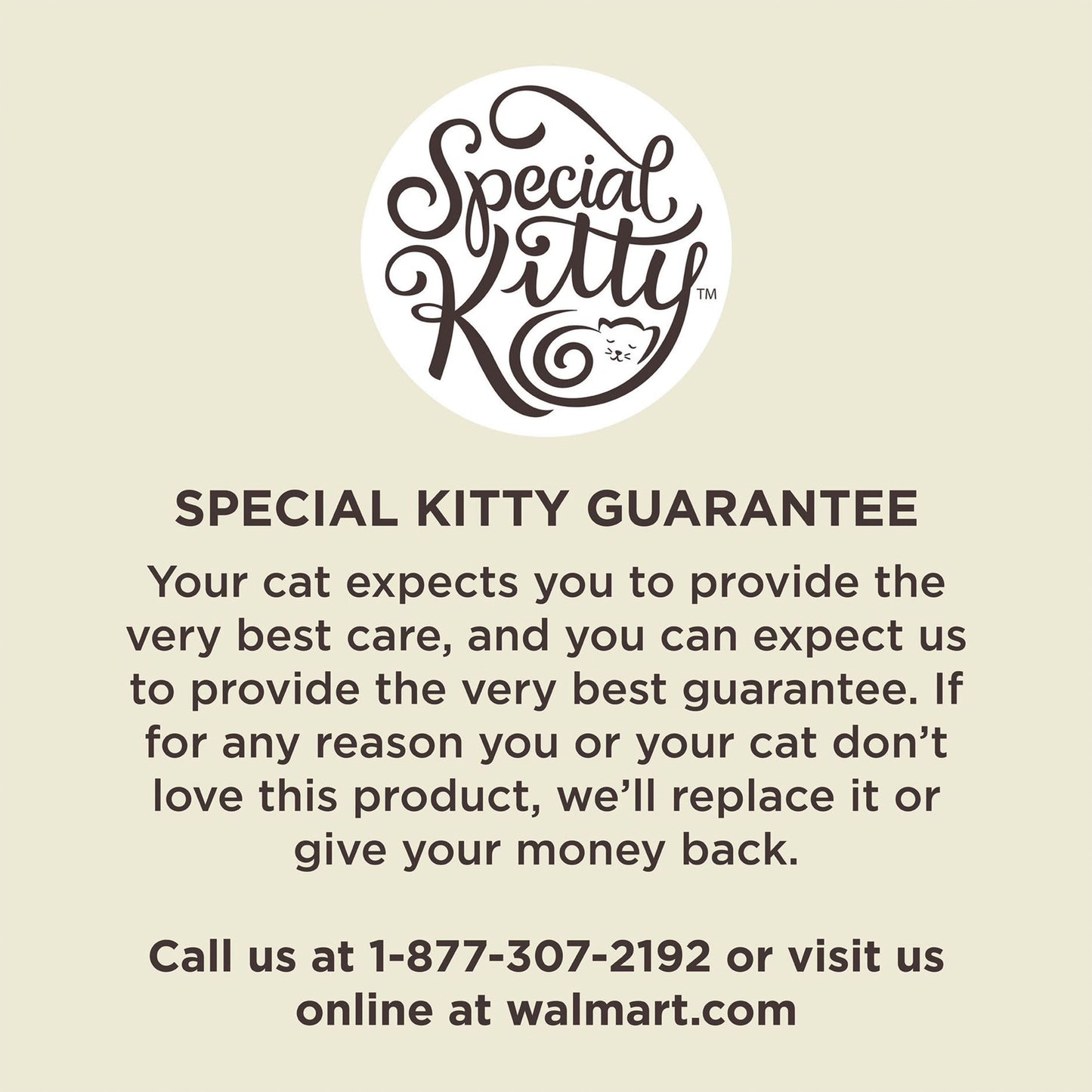 Special Kitty Salmon Dinner Pate Wet Cat Food, 5.5 oz Can