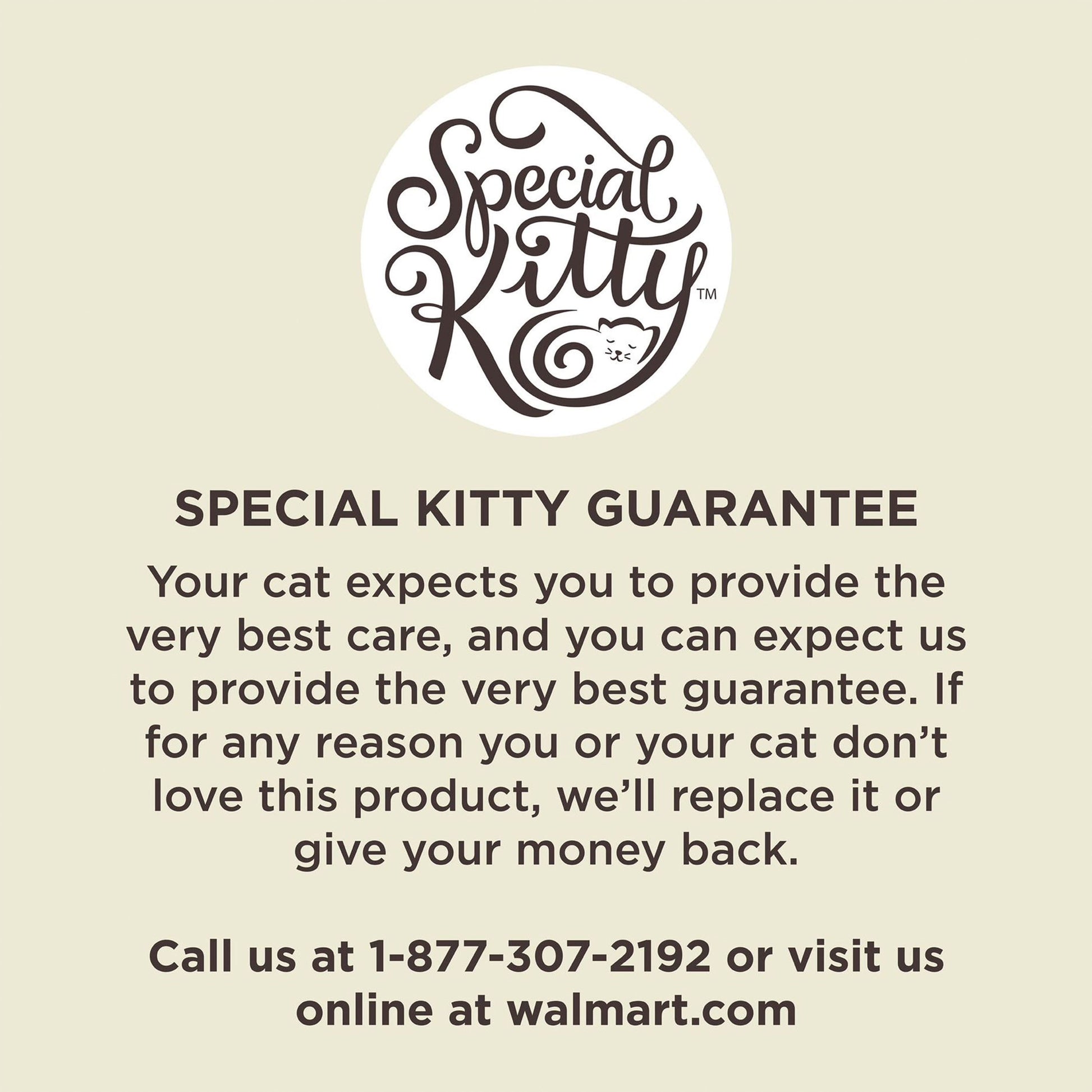 Special Kitty Salmon Dinner Pate Wet Cat Food, 5.5 oz Can