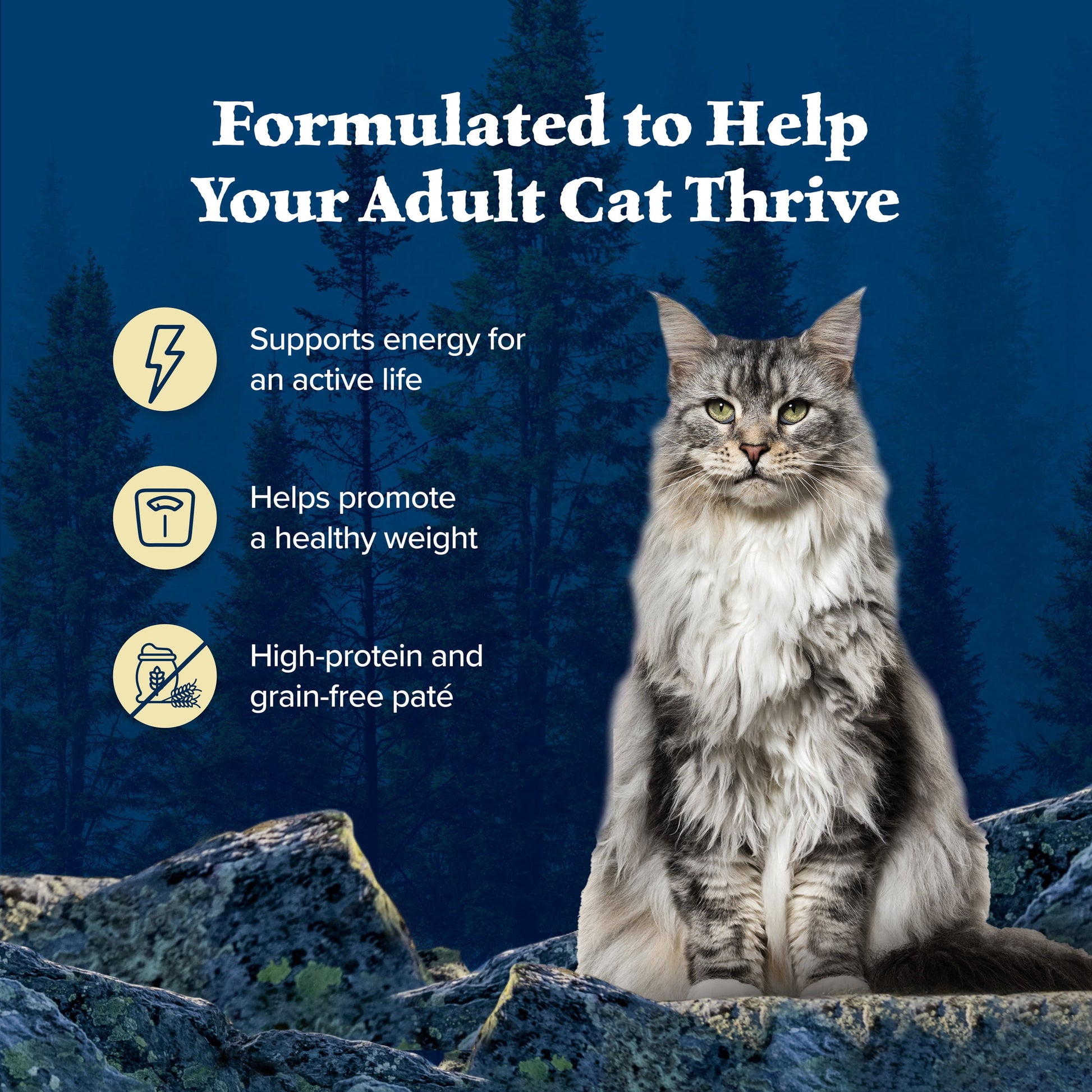Blue Buffalo Wilderness High Protein, Natural Adult Pate Wet Cat Food Variety Pack, Chicken, Salmon, Duck 3-oz Cans (12 Count- 4 of Each Flavor)