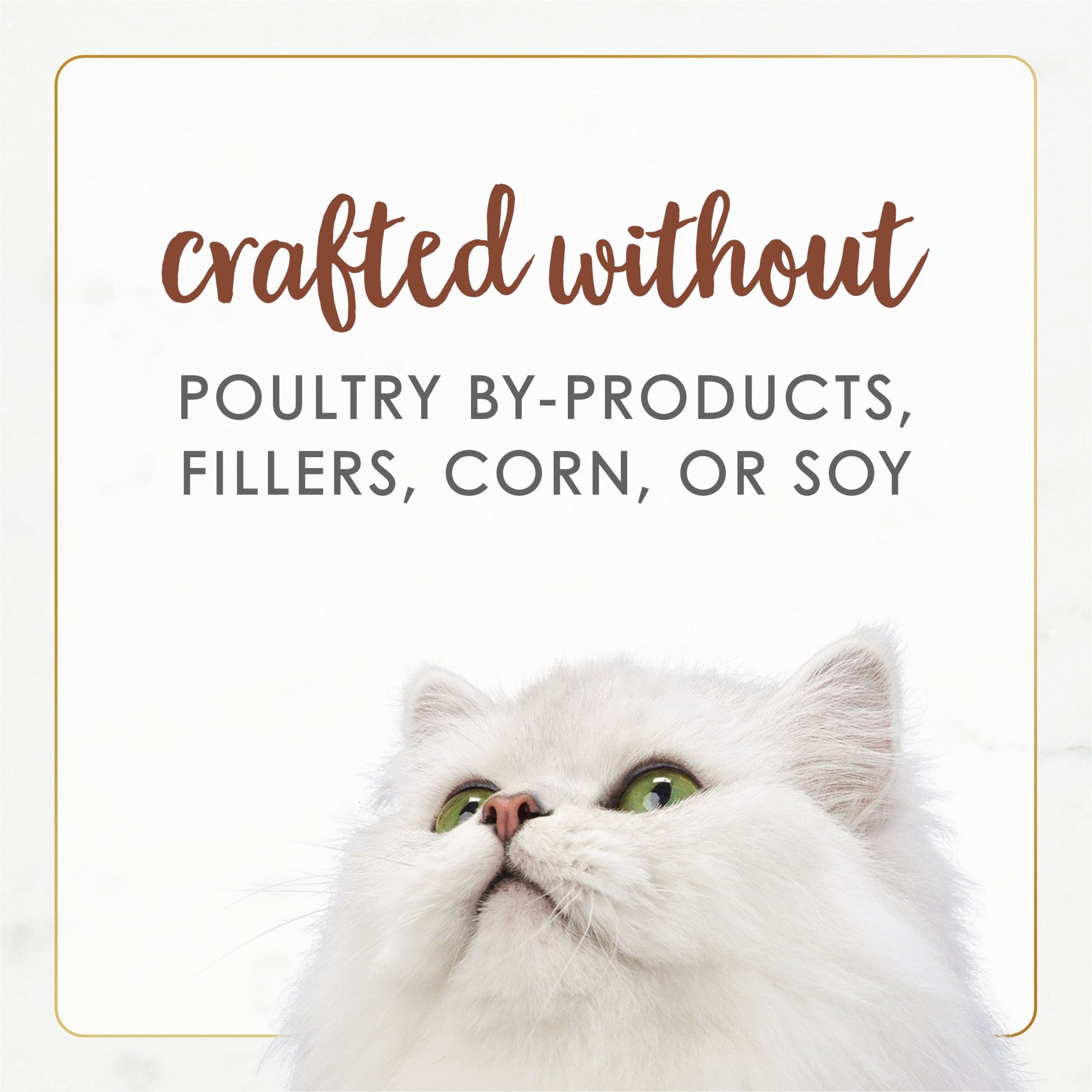 Purina Fancy Feast Gourmet Naturals Kitten Food, Wet Cat Food, Poultry & Beef, 3 oz Cans (30 Pack)